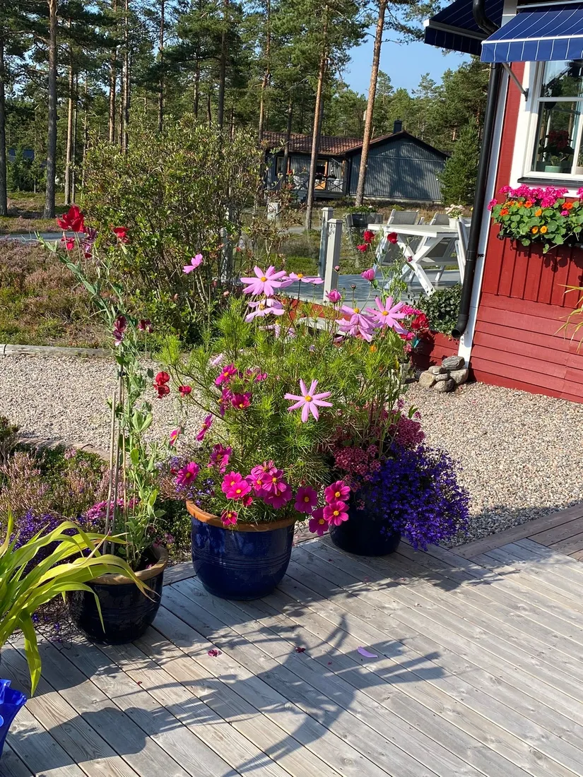 Fritidshus, Skärsviken 196, Skärsviken, Härnösand