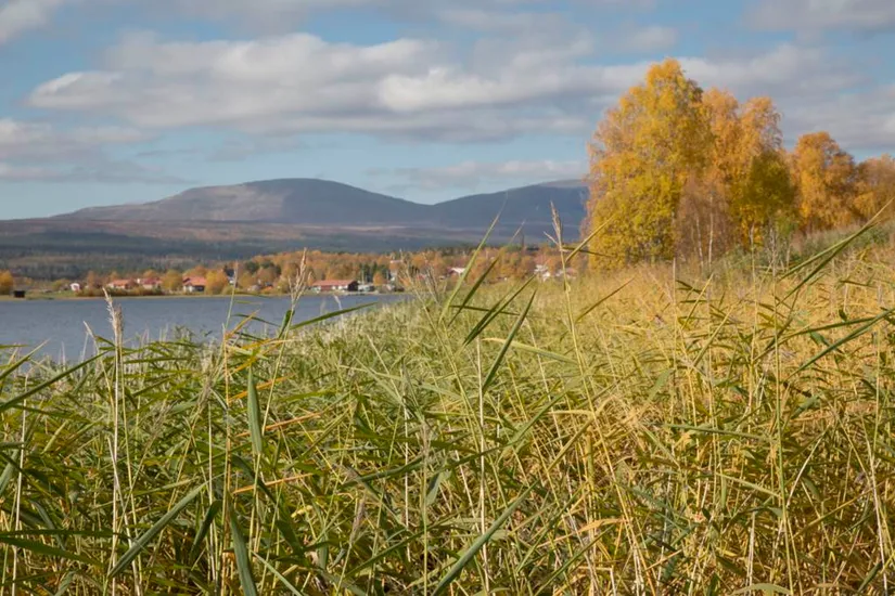 Bostadsrätt, Sjöängsvägen 12K, Härjedalen