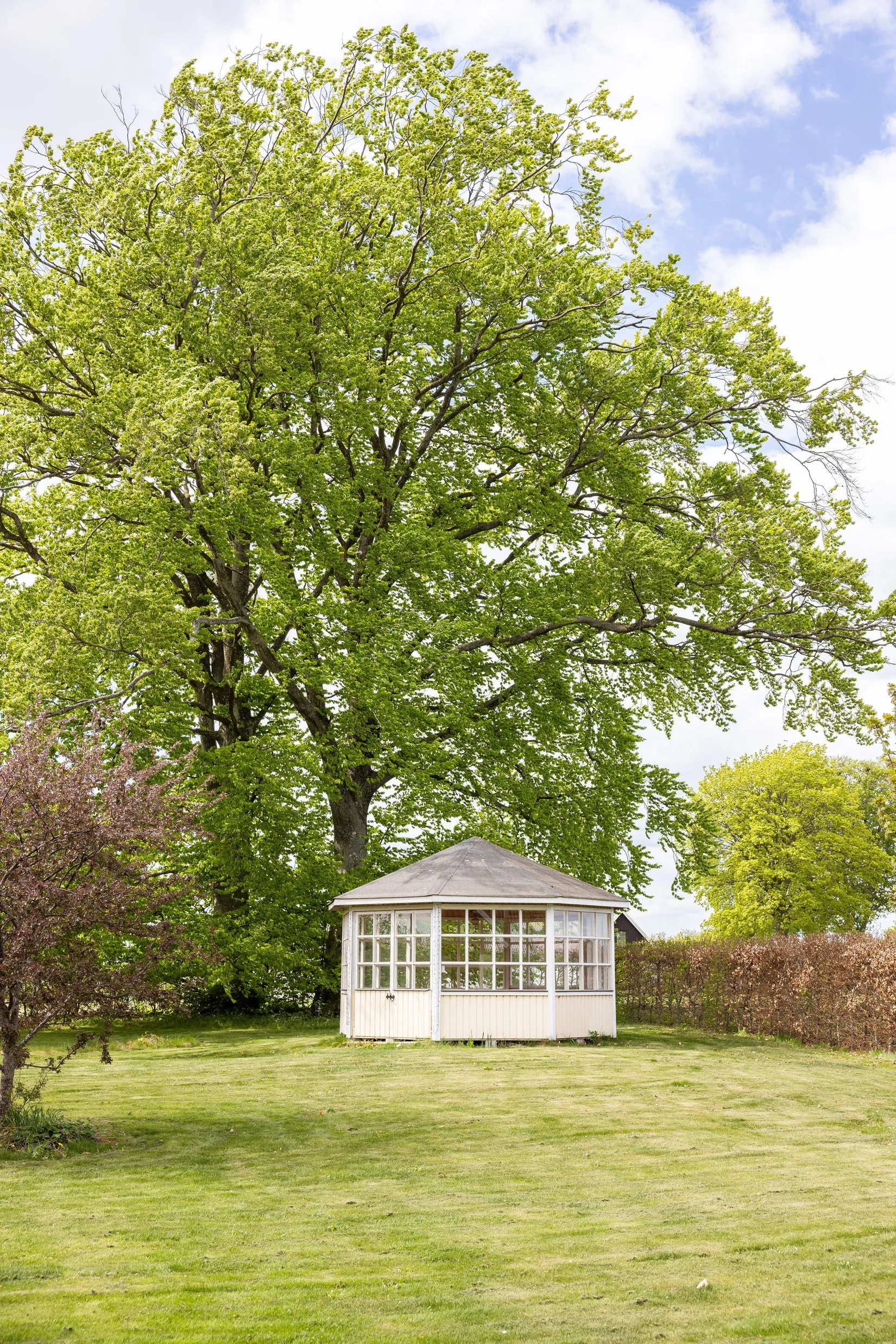 Gård/Skog, Östra Kärrstorpsvägen 80, Sjöbo