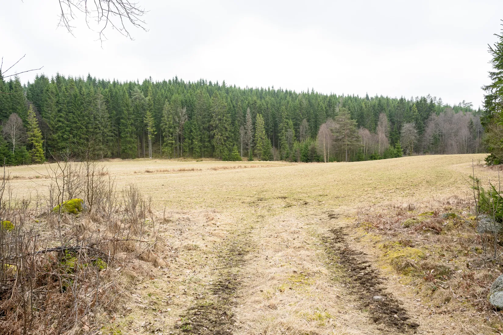 Gård/Skog, Hedegården 857 och 858, Ulricehamn