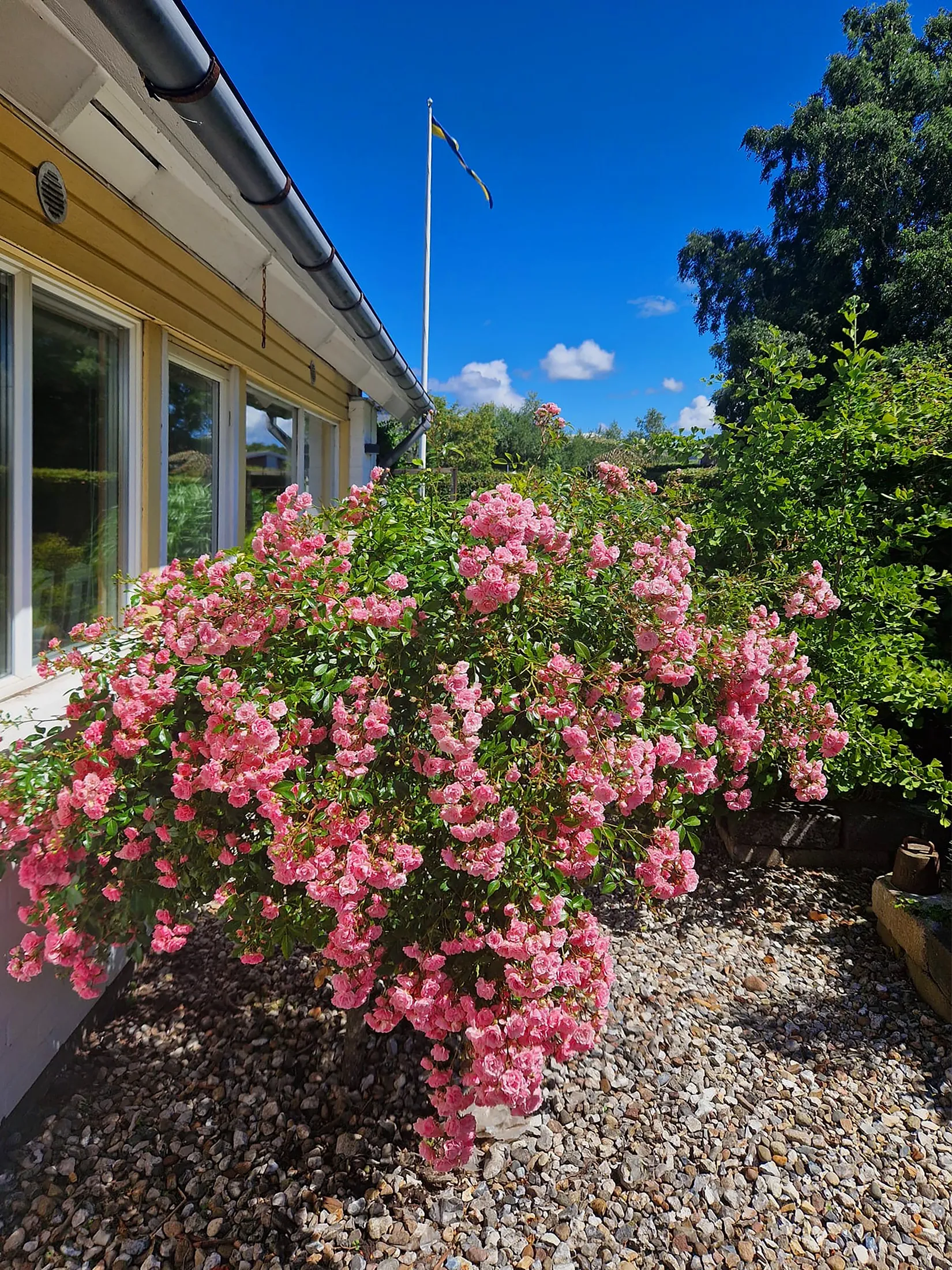 Villa, Fogdegatan 12, Höganäs