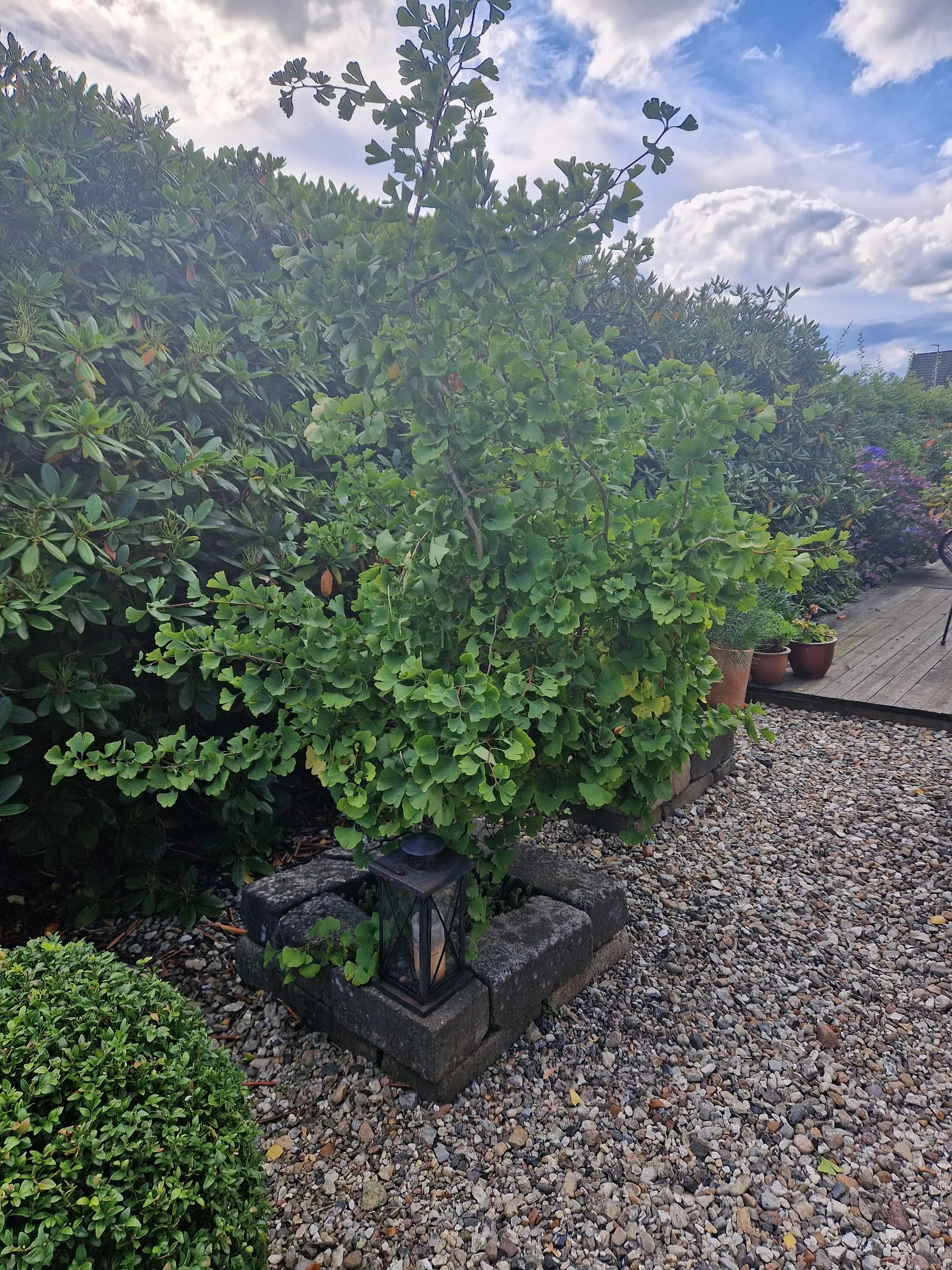 Villa, Fogdegatan 12, Höganäs