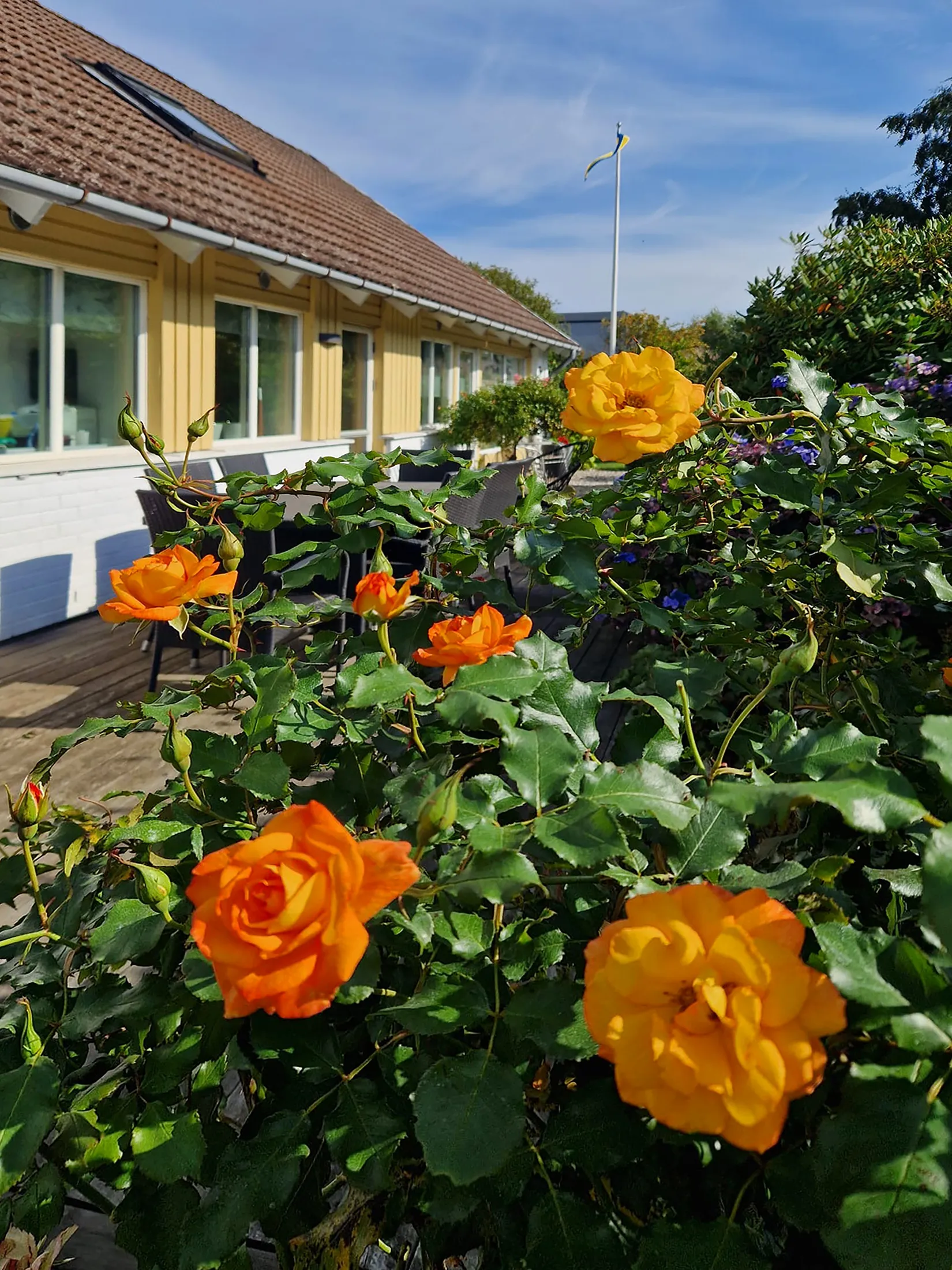 Villa, Fogdegatan 12, Höganäs