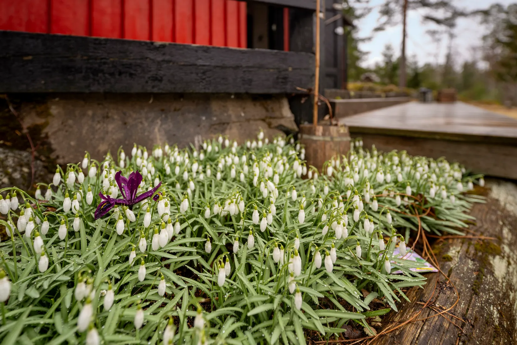 Fritidshus, Vargmossevägen 44, Almunge, Uppsala