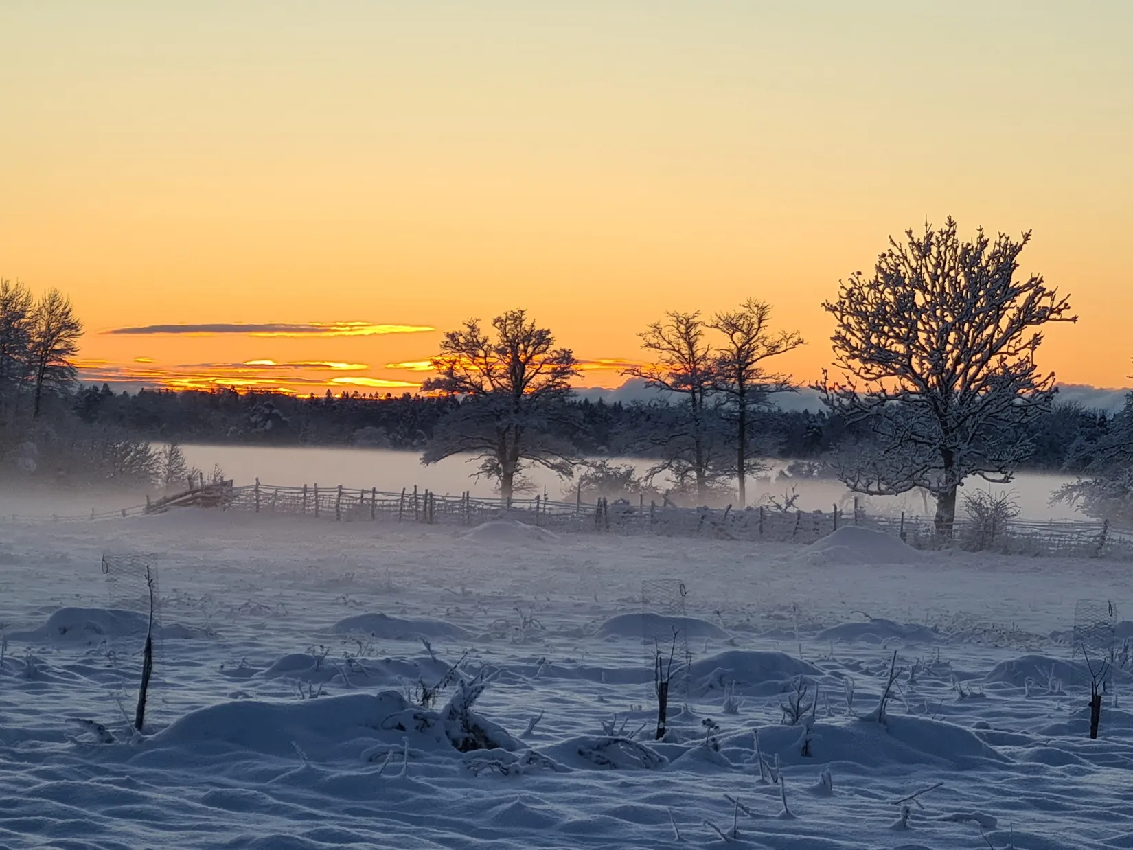 Villa, Gård/Skog, Ganthem Gardese 611, Ganthem, Gotland