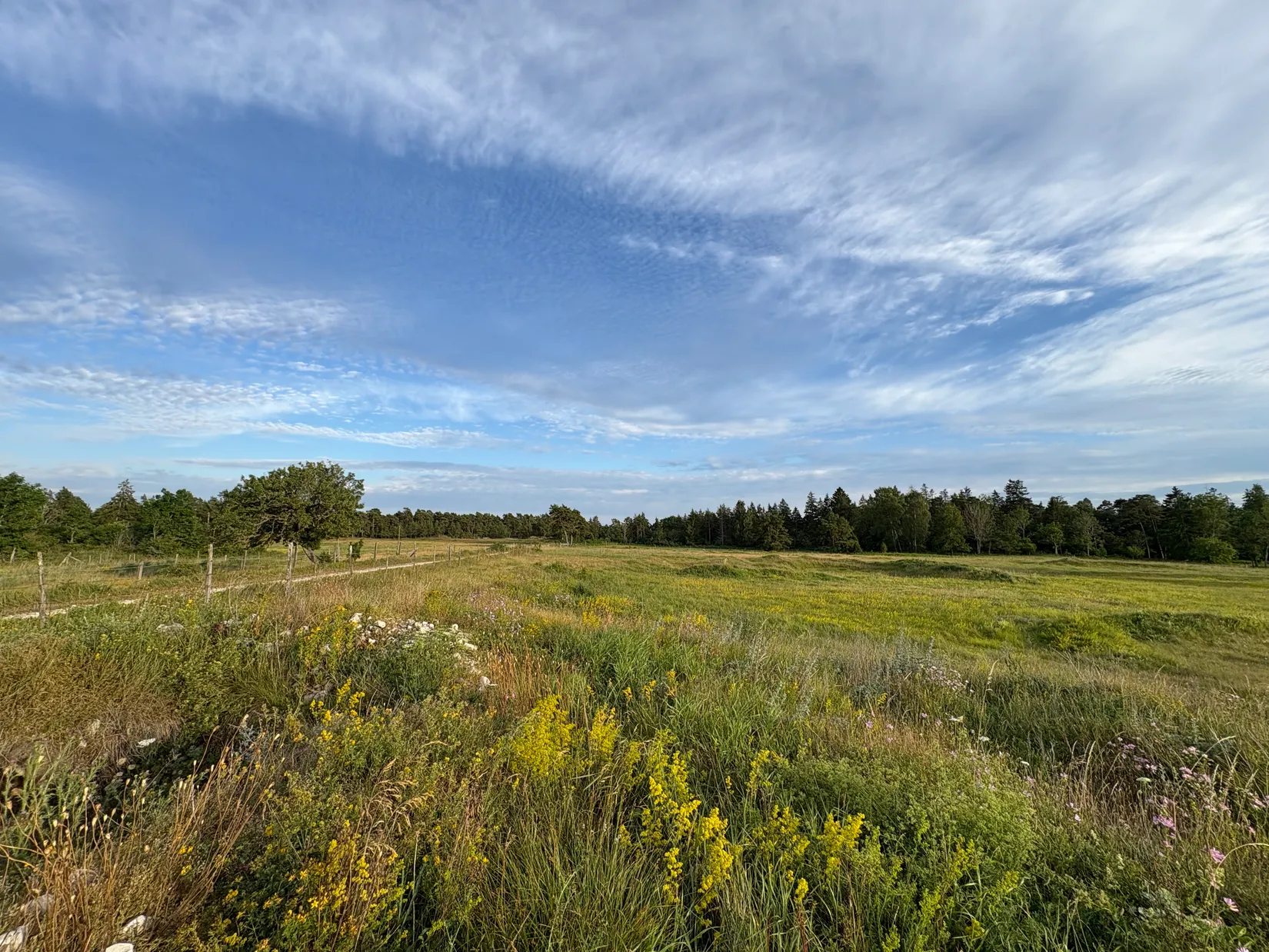 Villa, Gård/Skog, Ganthem Gardese 611, Ganthem, Gotland