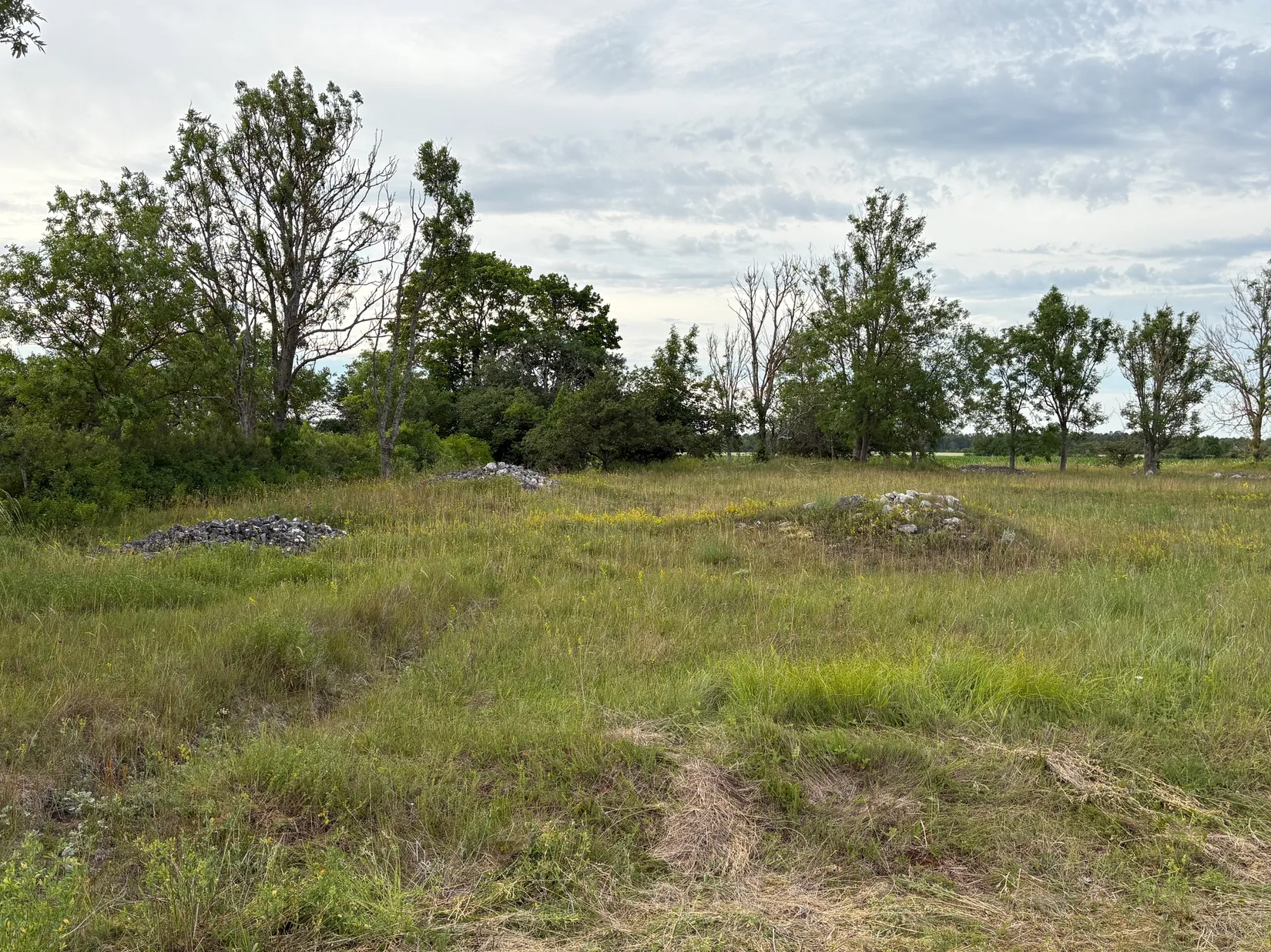 Villa, Gård/Skog, Ganthem Gardese 611, Ganthem, Gotland