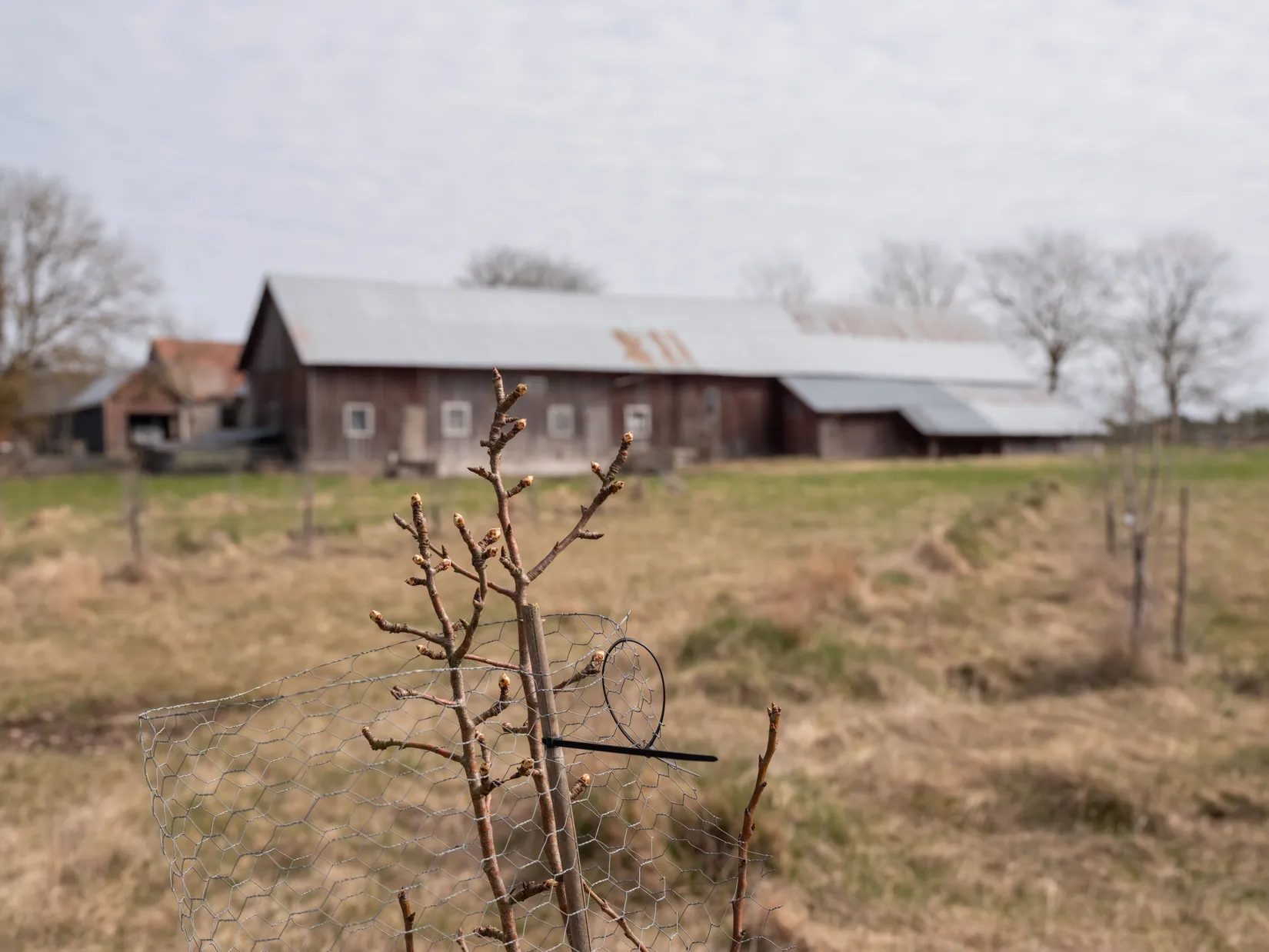 Villa, Gård/Skog, Ganthem Gardese 611, Ganthem, Gotland
