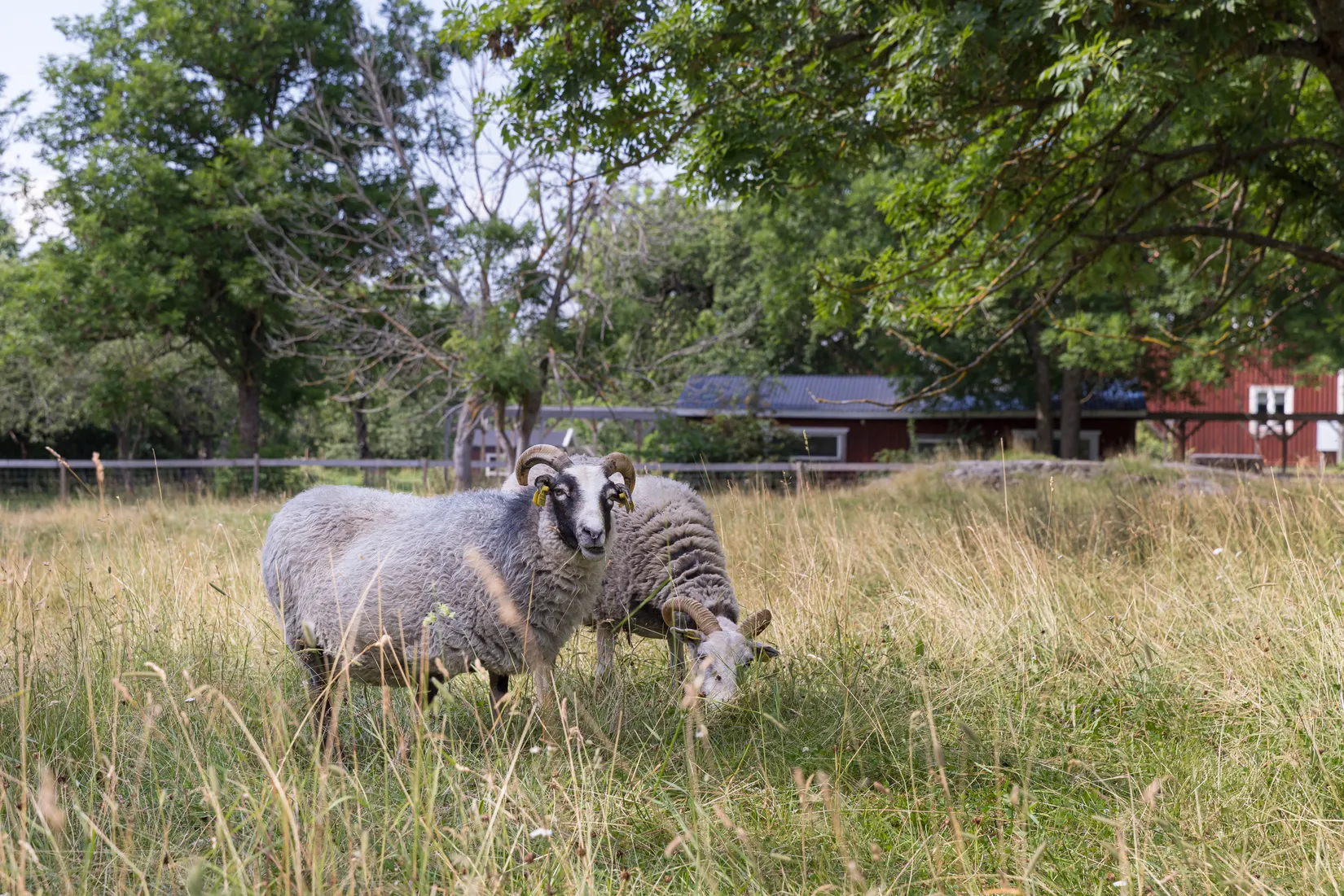 Bostadsrätt, Blixtgatan 11, Gränby, Uppsala
