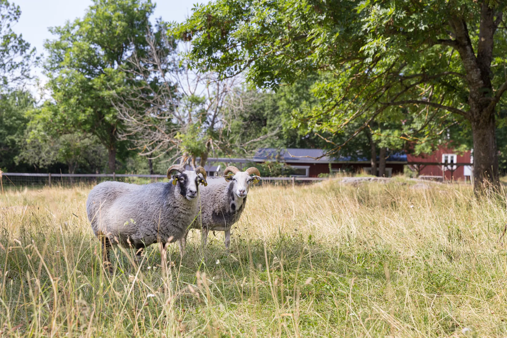 Bostadsrätt, Blixtgatan 11, Gränby, Uppsala