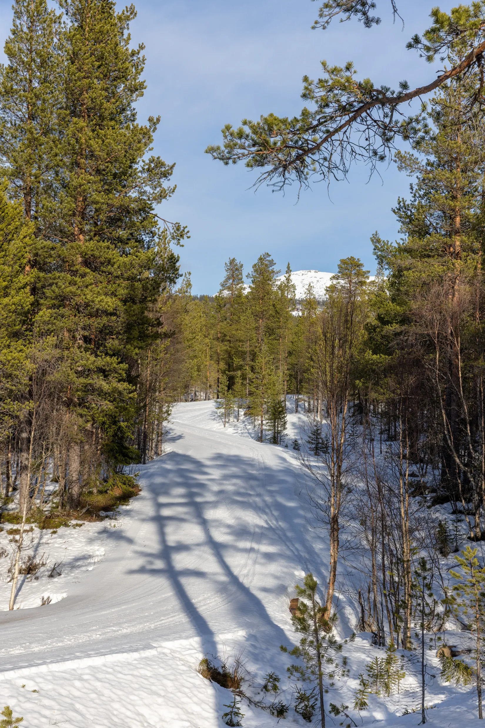 Tomt, Ljungvägen 15, Lofsdalen, Härjedalen