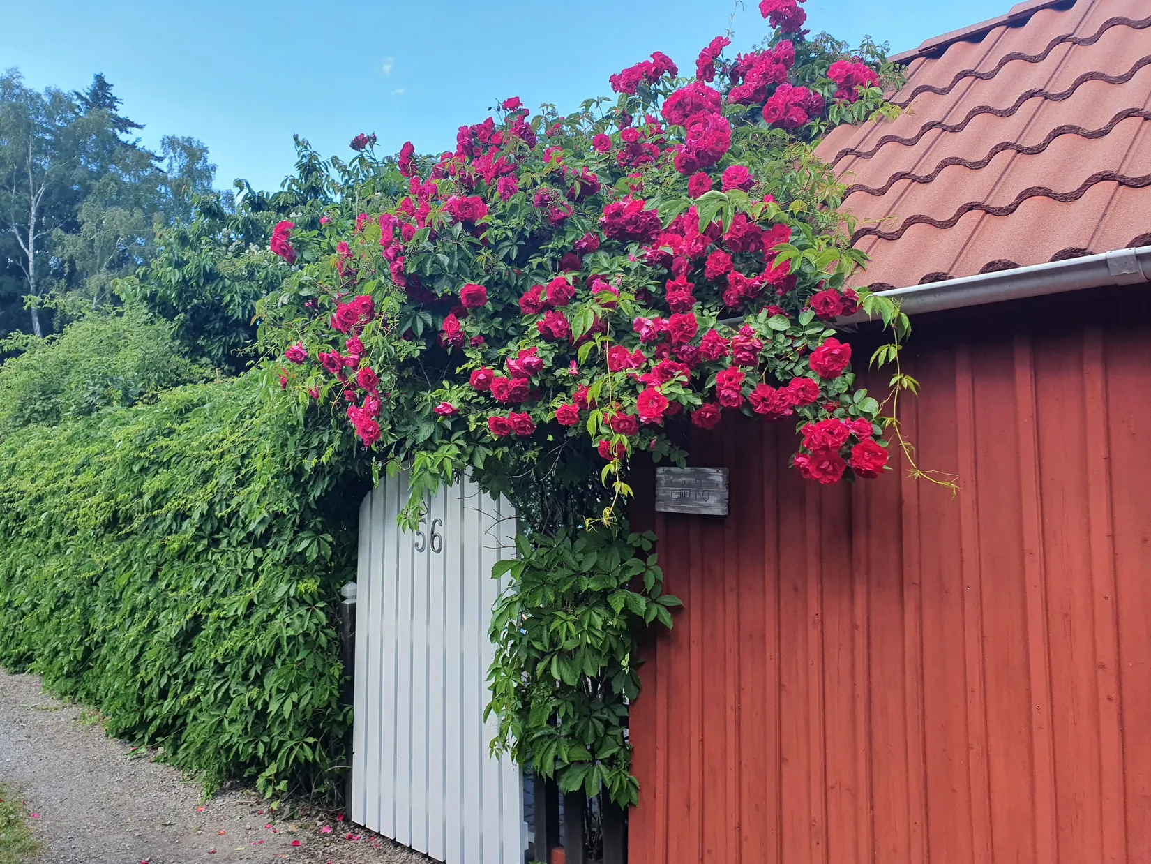 Fritidshus, Nybyggarvägen 56, Hjortens odling/Malma, Värmdö
