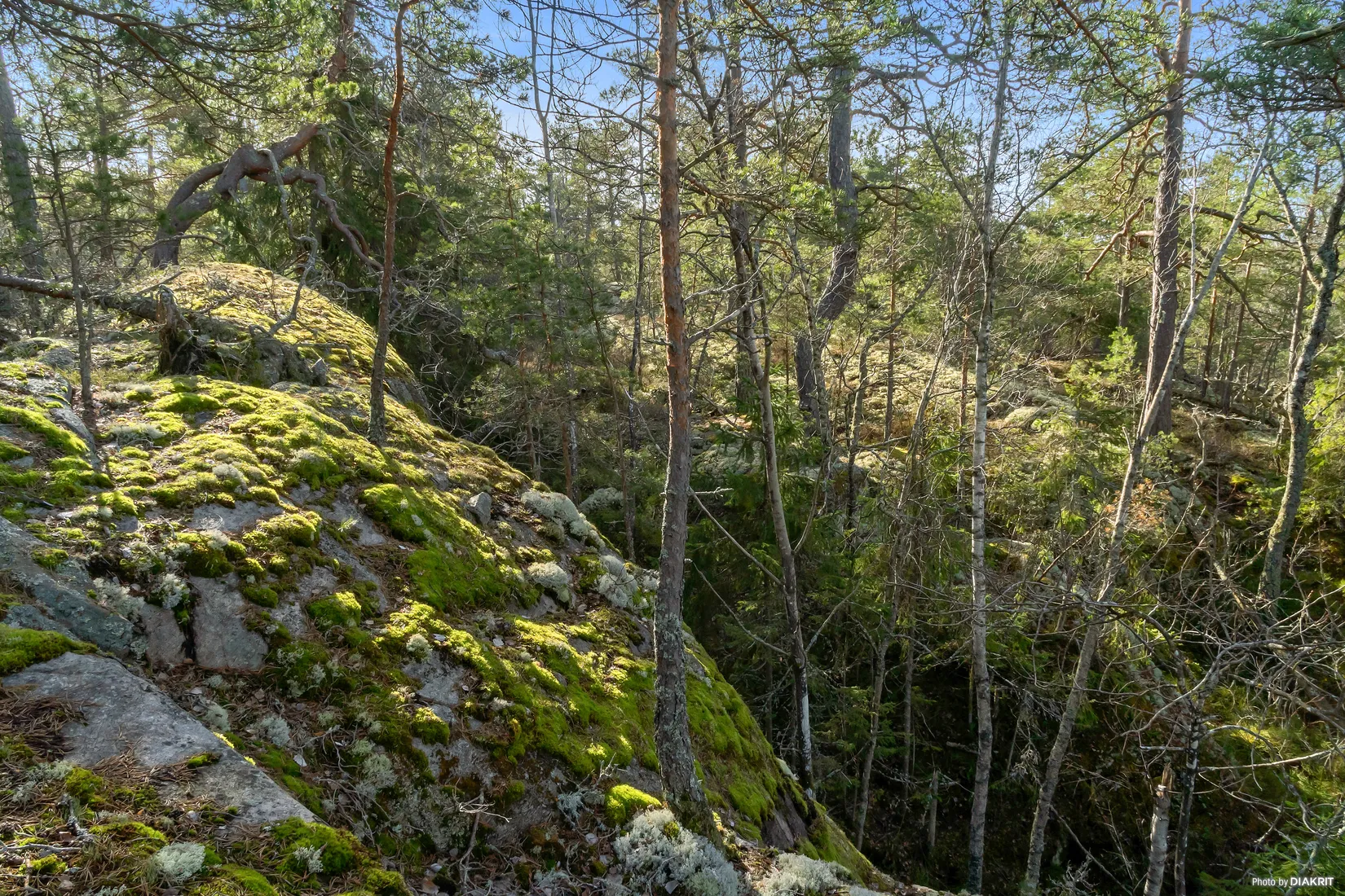 Tomt, Fjärilstigen 9, Raksta/Solberga/Bergholm, Tyresö