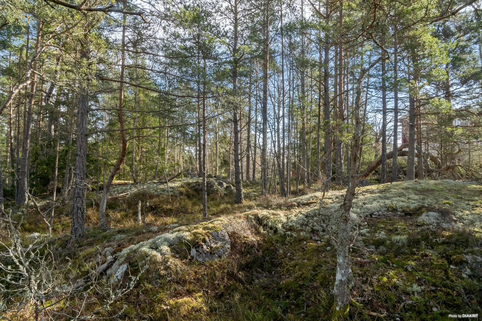 Tomt, Fjärilstigen 9, Raksta/Solberga/Bergholm, Tyresö