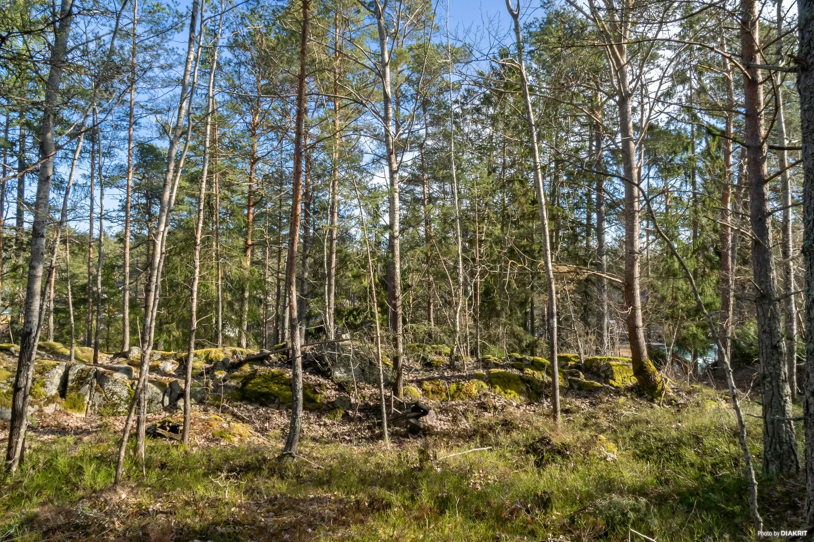 Tomt, Fjärilstigen 9, Raksta/Solberga/Bergholm, Tyresö