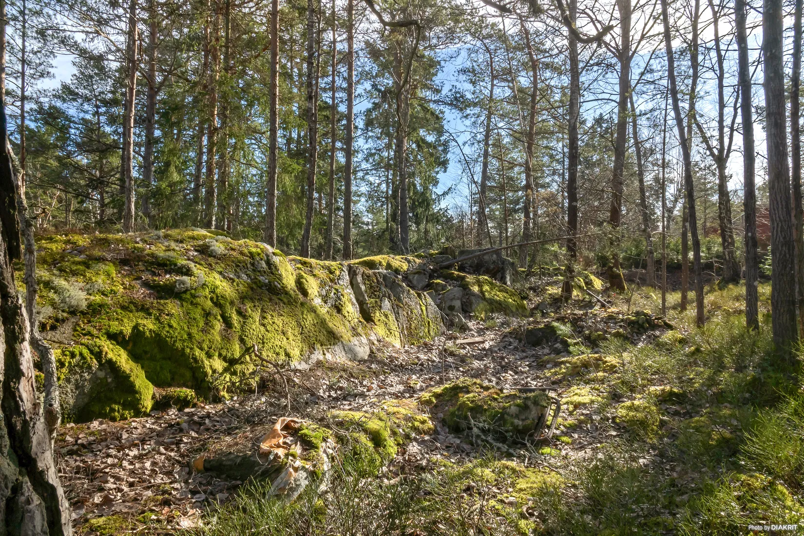 Tomt, Fjärilstigen 9, Raksta/Solberga/Bergholm, Tyresö