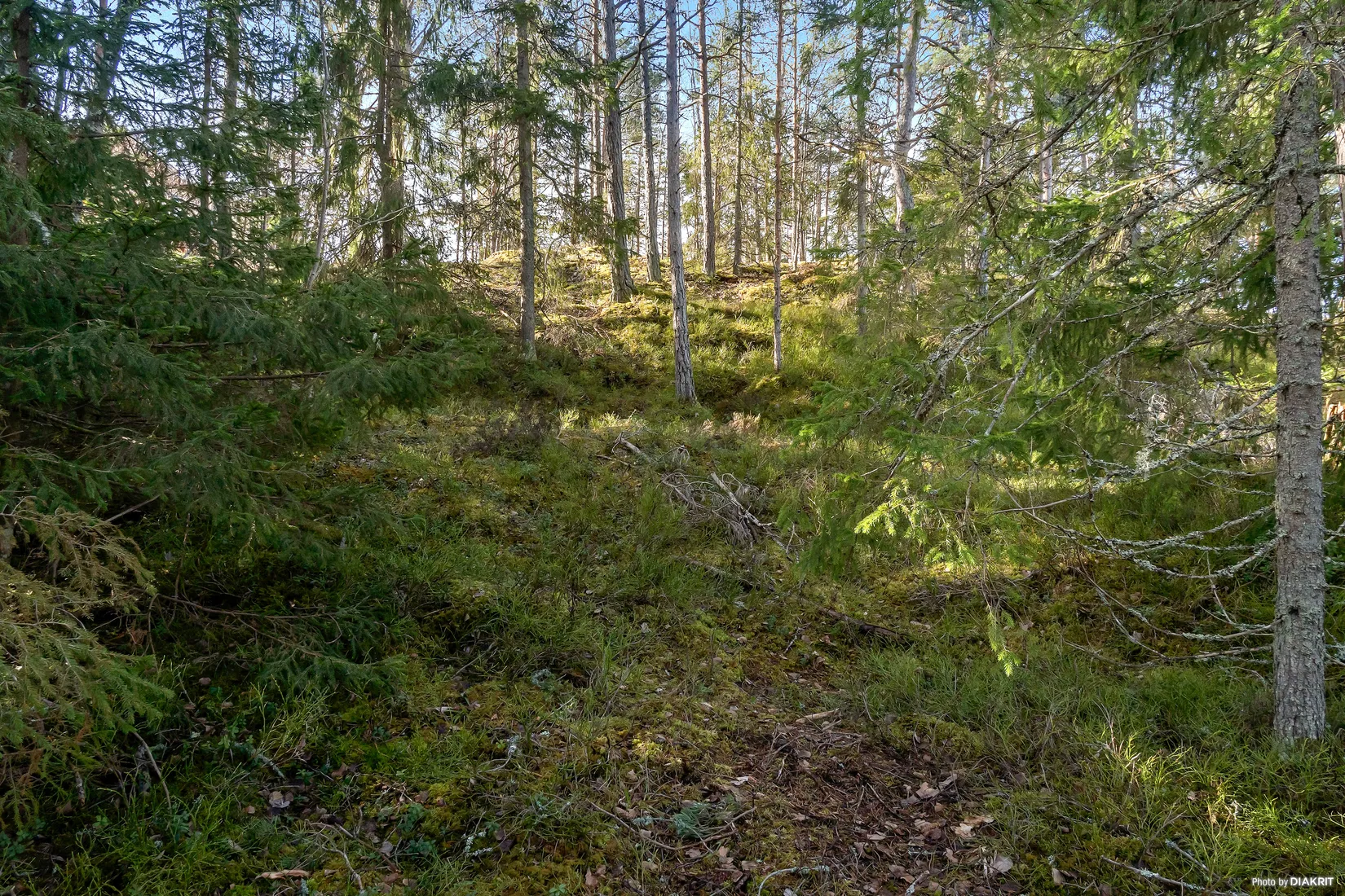 Tomt, Fjärilstigen 9, Raksta/Solberga/Bergholm, Tyresö