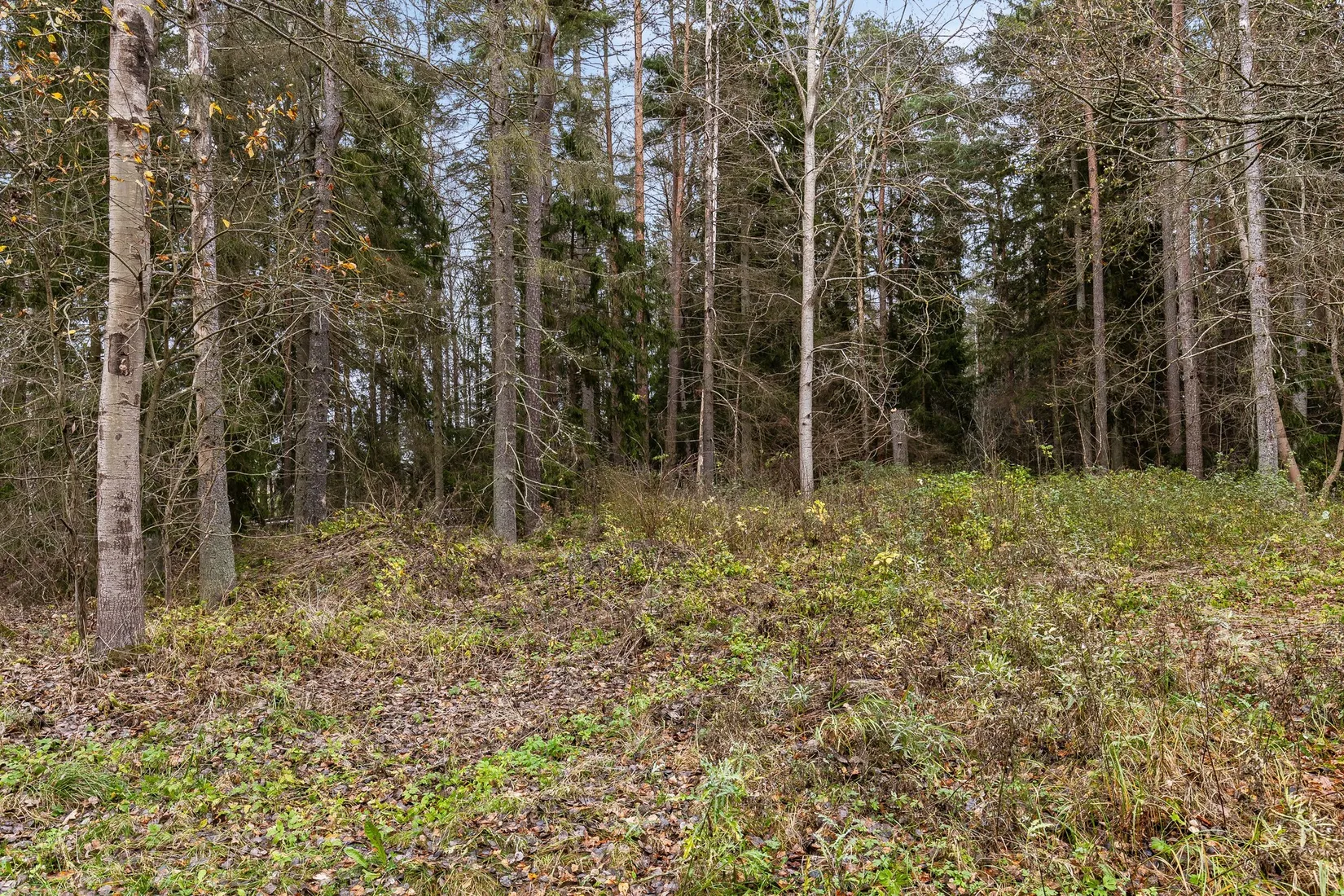 Tomt, Flistad 7:9, Linköping