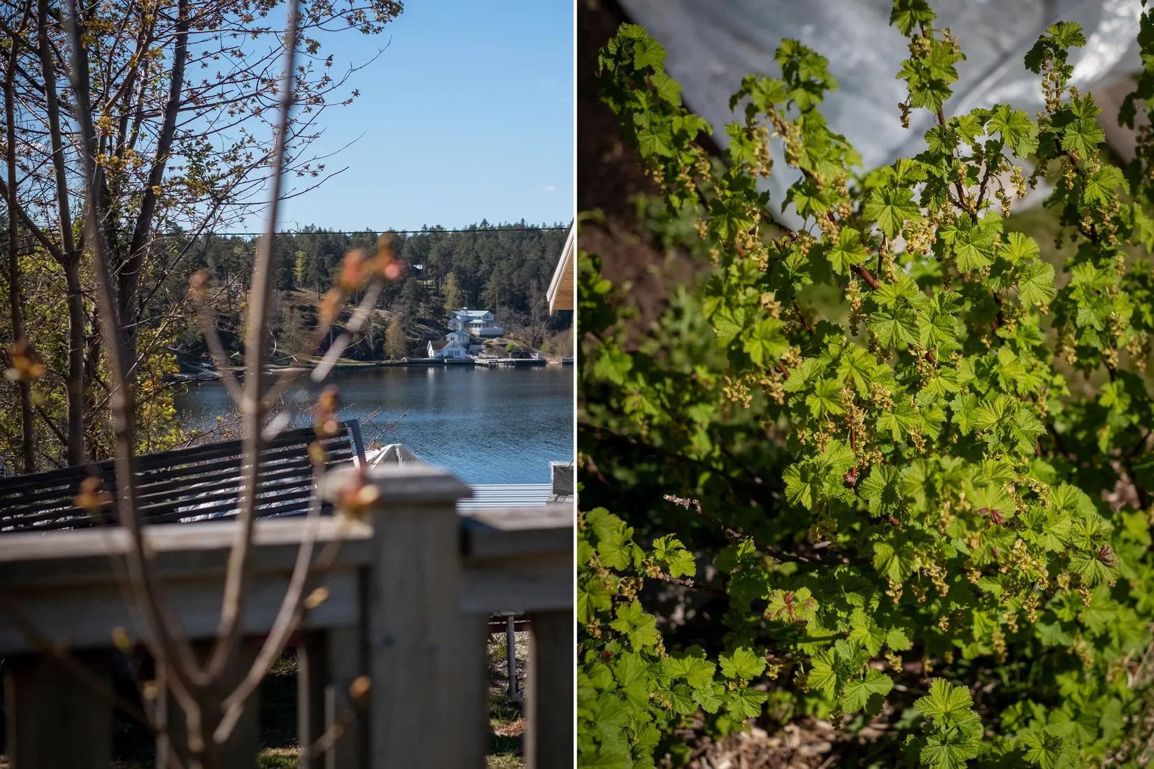 Radhus, Rindövägen 62G, Rindö, Vaxholm