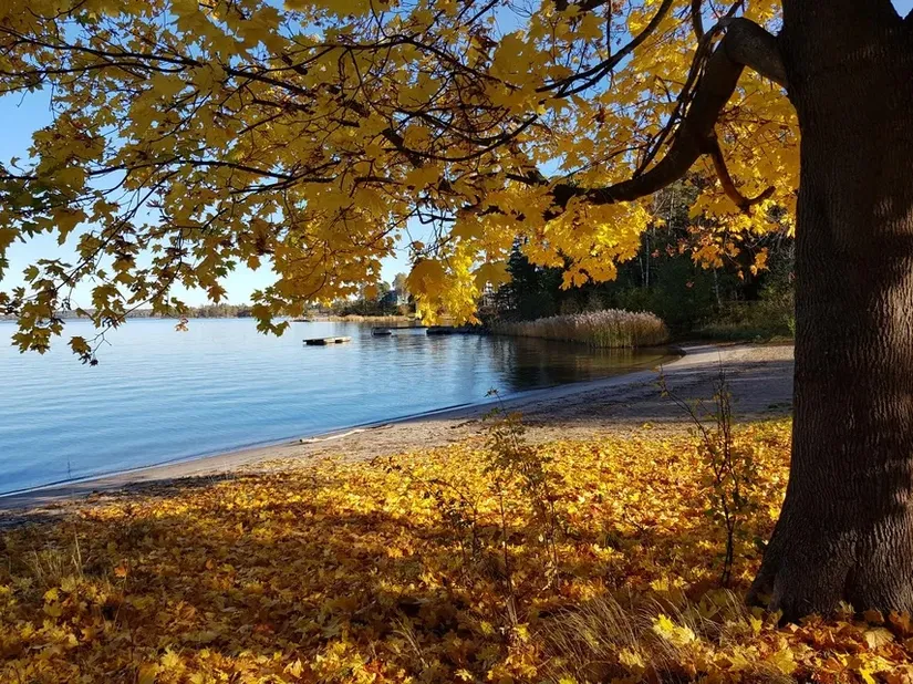 Bostadsrätt, Frisksportarvägen 1, Sticklinge, Lidingö