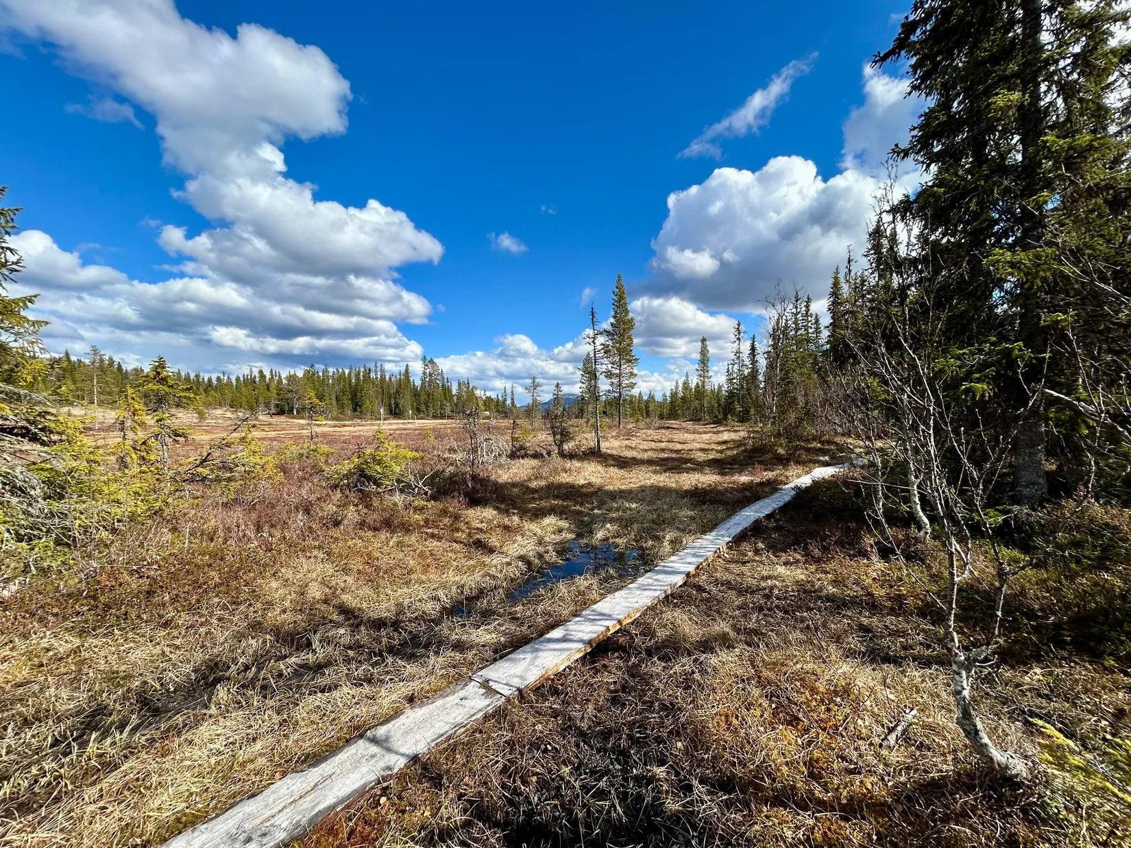 Tomt, Ottsjö Jacobsvägen 10, Ottsjö, Åre