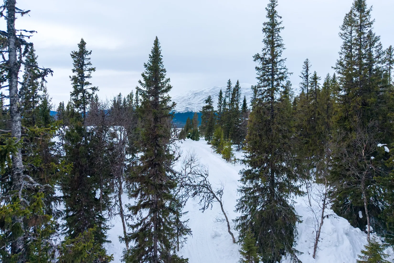 Tomt, Ottsjö Jacobsvägen 10, Ottsjö, Åre