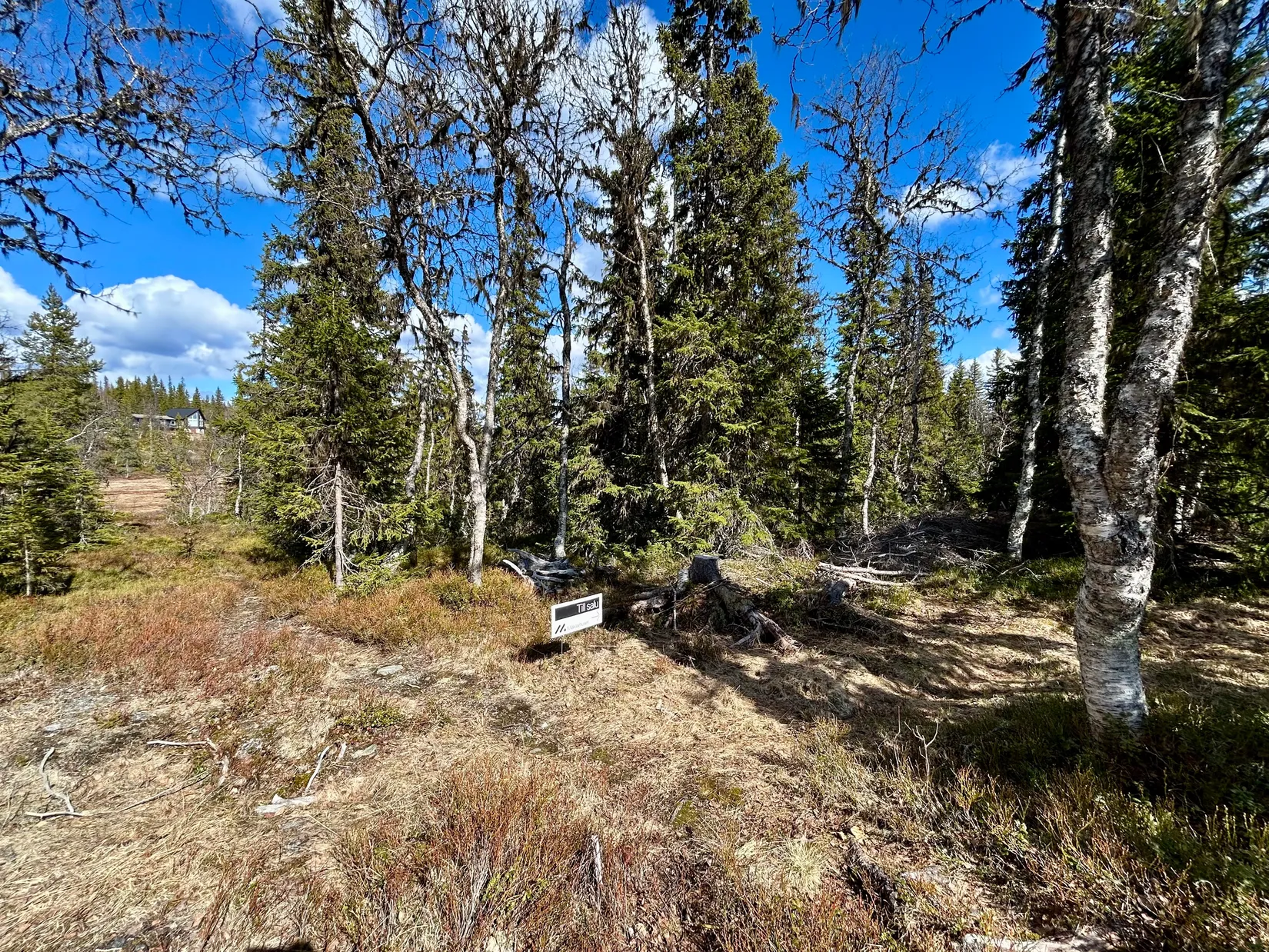 Tomt, Ottsjö Jacobsvägen 10, Ottsjö, Åre