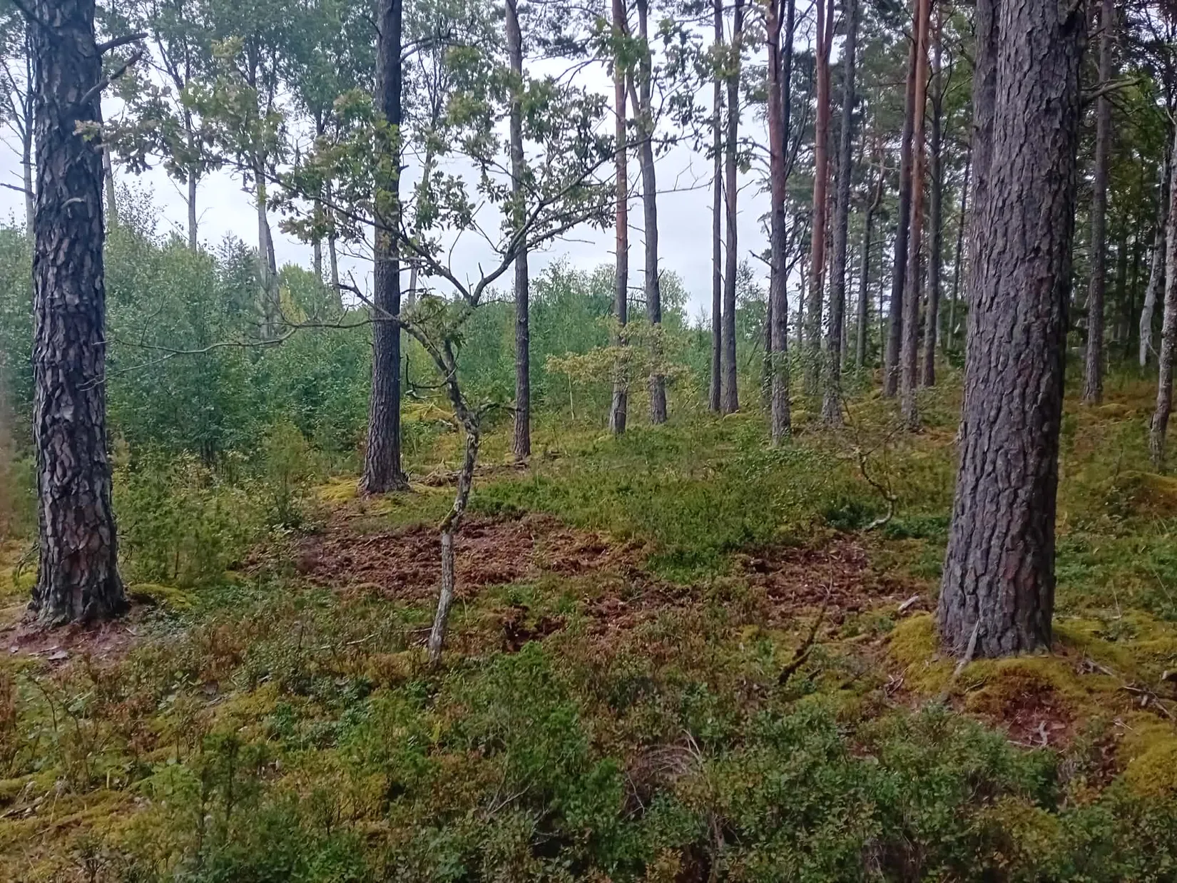Villa, Fullerö 7, Fullerö, Uppsala