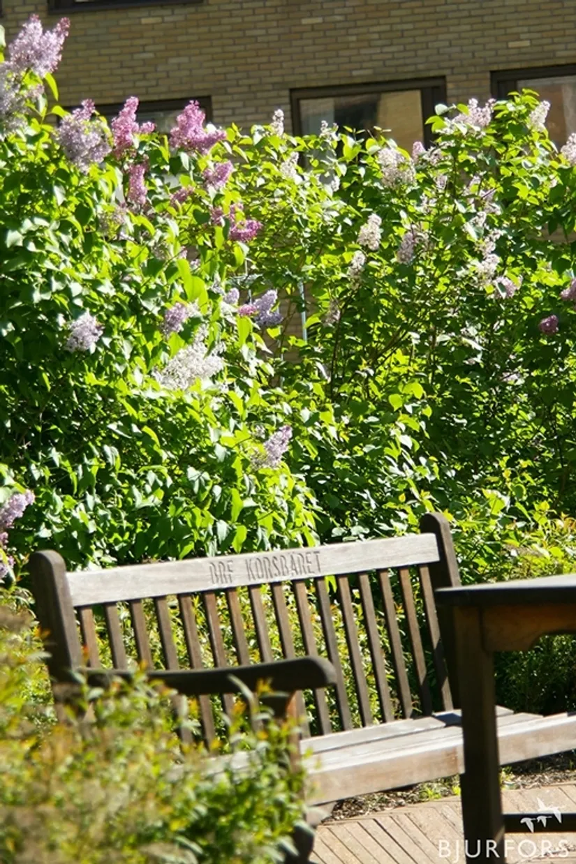 Bostadsrätt, Nilssonsberg 8, Annedal, Göteborg