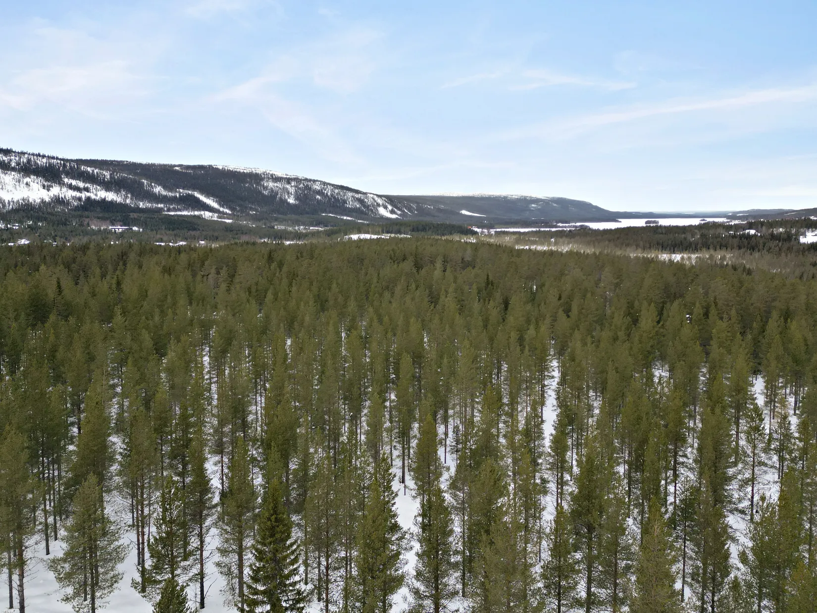 Gård/Skog, Stortravägen 1A, Klövsjö, Berg