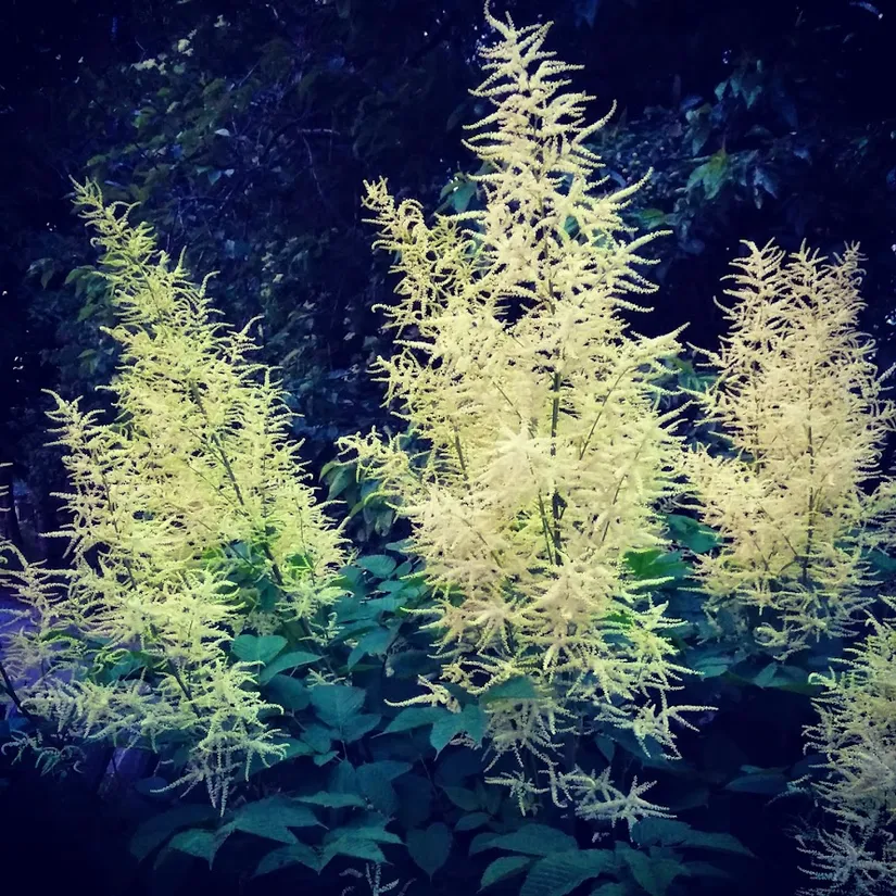 Villa, Bjärsjölagårdsvägen 15, Bjärsjölagård, Sjöbo