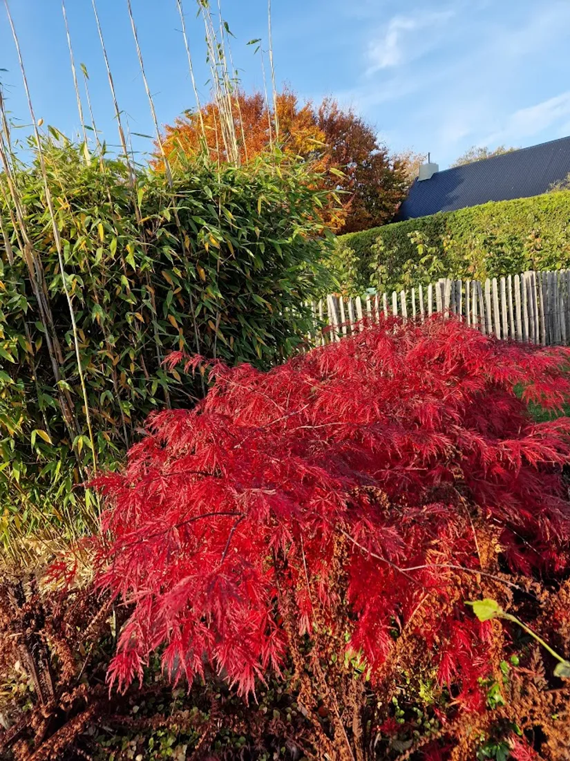 Villa, Bjärsjölagårdsvägen 15, Bjärsjölagård, Sjöbo