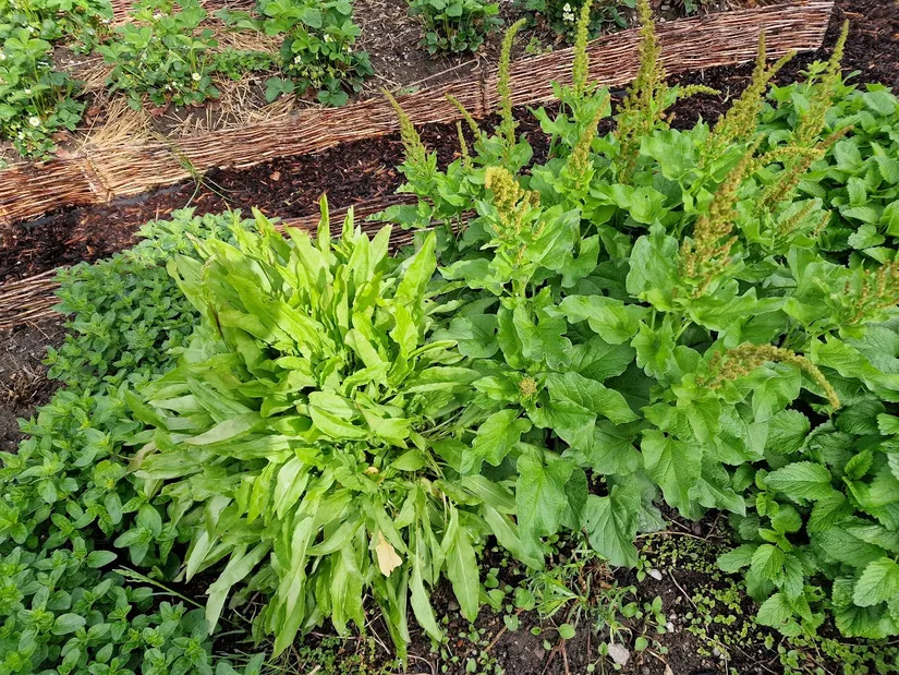 Villa, Bjärsjölagårdsvägen 15, Bjärsjölagård, Sjöbo