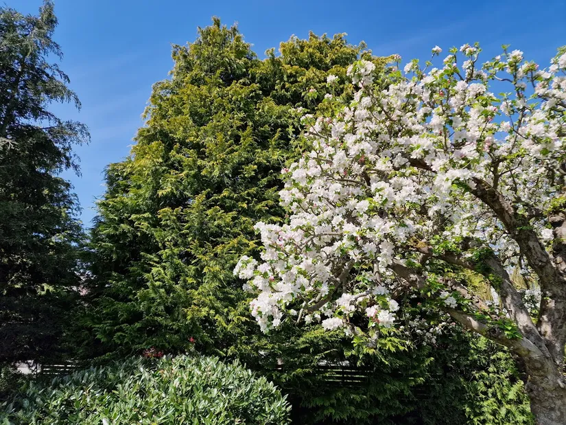 Villa, Bjärsjölagårdsvägen 15, Bjärsjölagård, Sjöbo