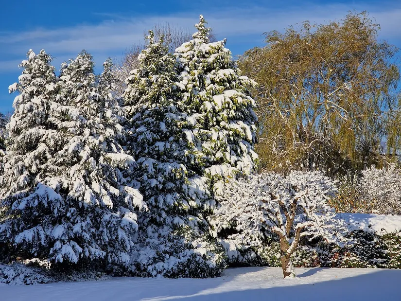 Villa, Bjärsjölagårdsvägen 15, Bjärsjölagård, Sjöbo