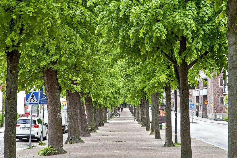 Bostadsrätt, Södra Esplanaden 13B, Lund - Centrum, Lund