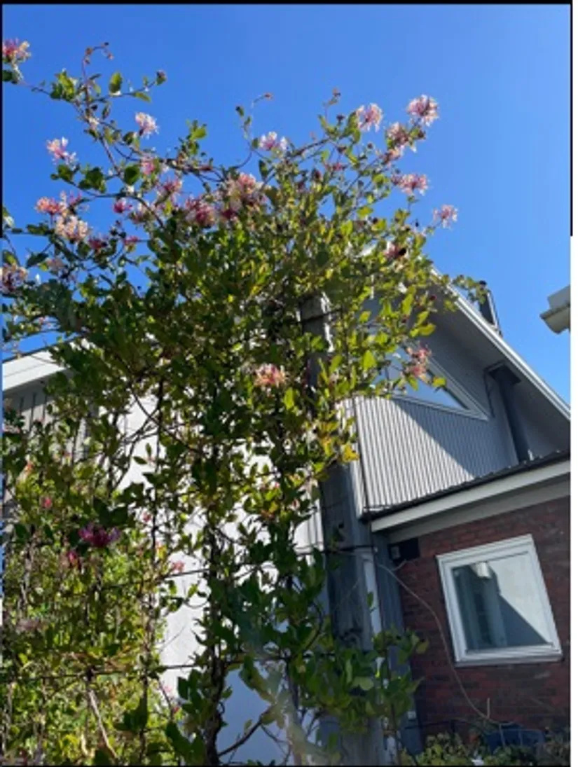 Villa, Näckrosvägen 24, Vargön, Vänersborg