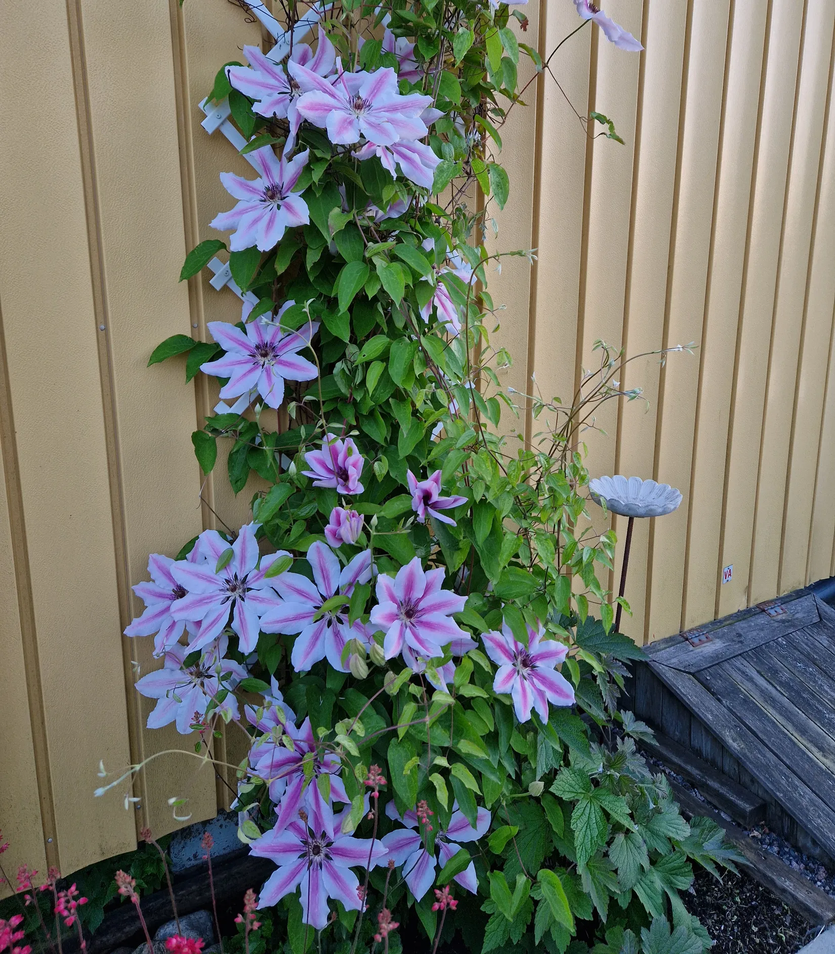Fritidshus, Gulsporregången 230, Välenkolonin nedre området, Göteborg