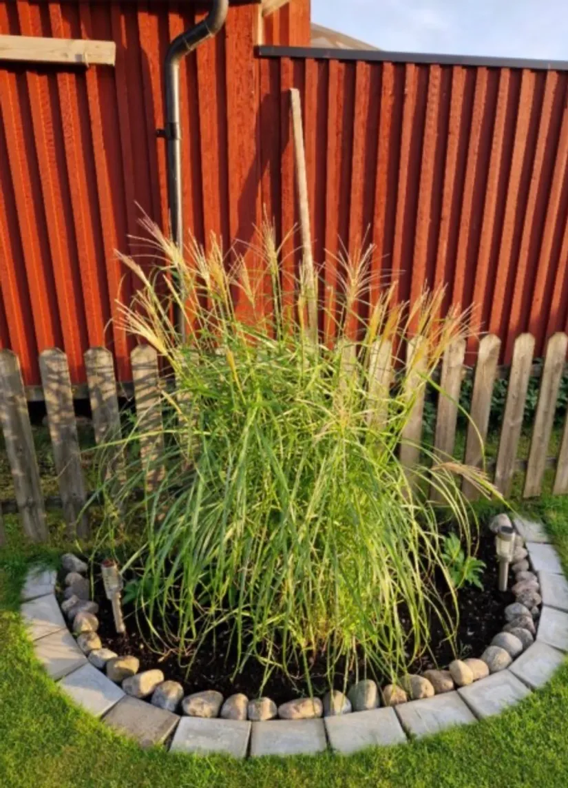 Fritidshus, Gulsporregången 230, Välenkolonin nedre området, Göteborg