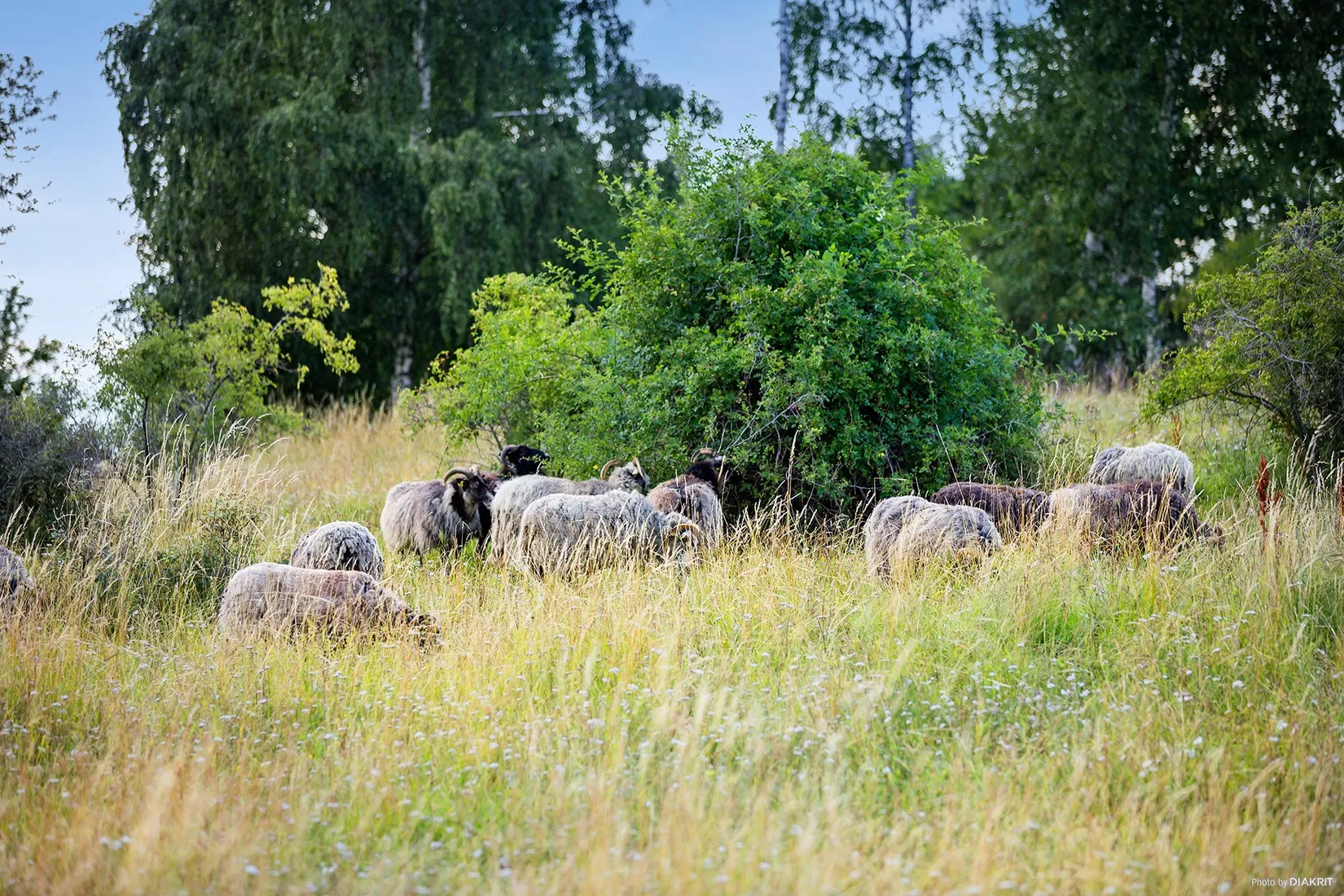 Bostadsrätt, Salabacksgatan 3 B, Sala backe, Uppsala