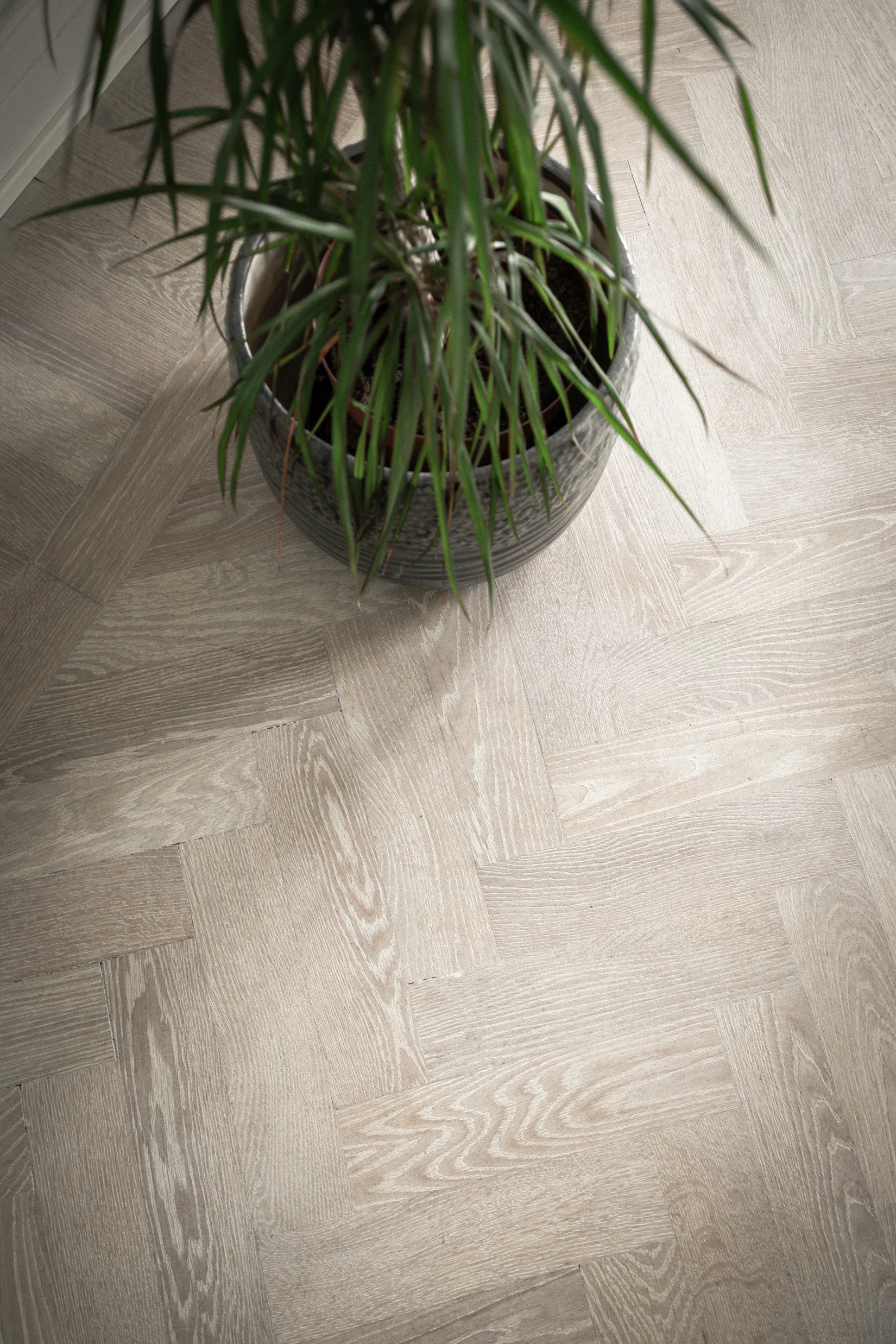 Bostadsrätt, Karl X Gustavs gata 30, Tågaborg, Helsingborg