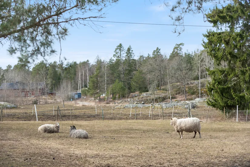 Villa, Lillskogsvändan 38, Saltarö, Värmdö