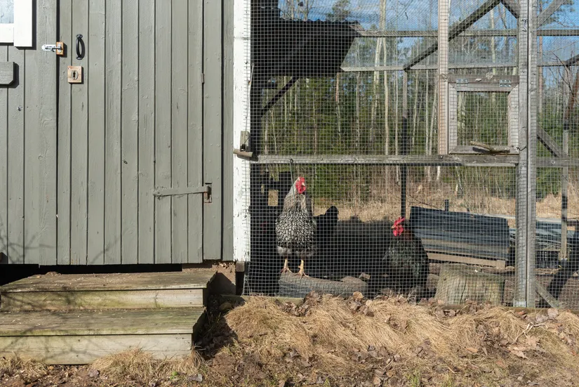 Villa, Lillskogsvändan 38, Saltarö, Värmdö