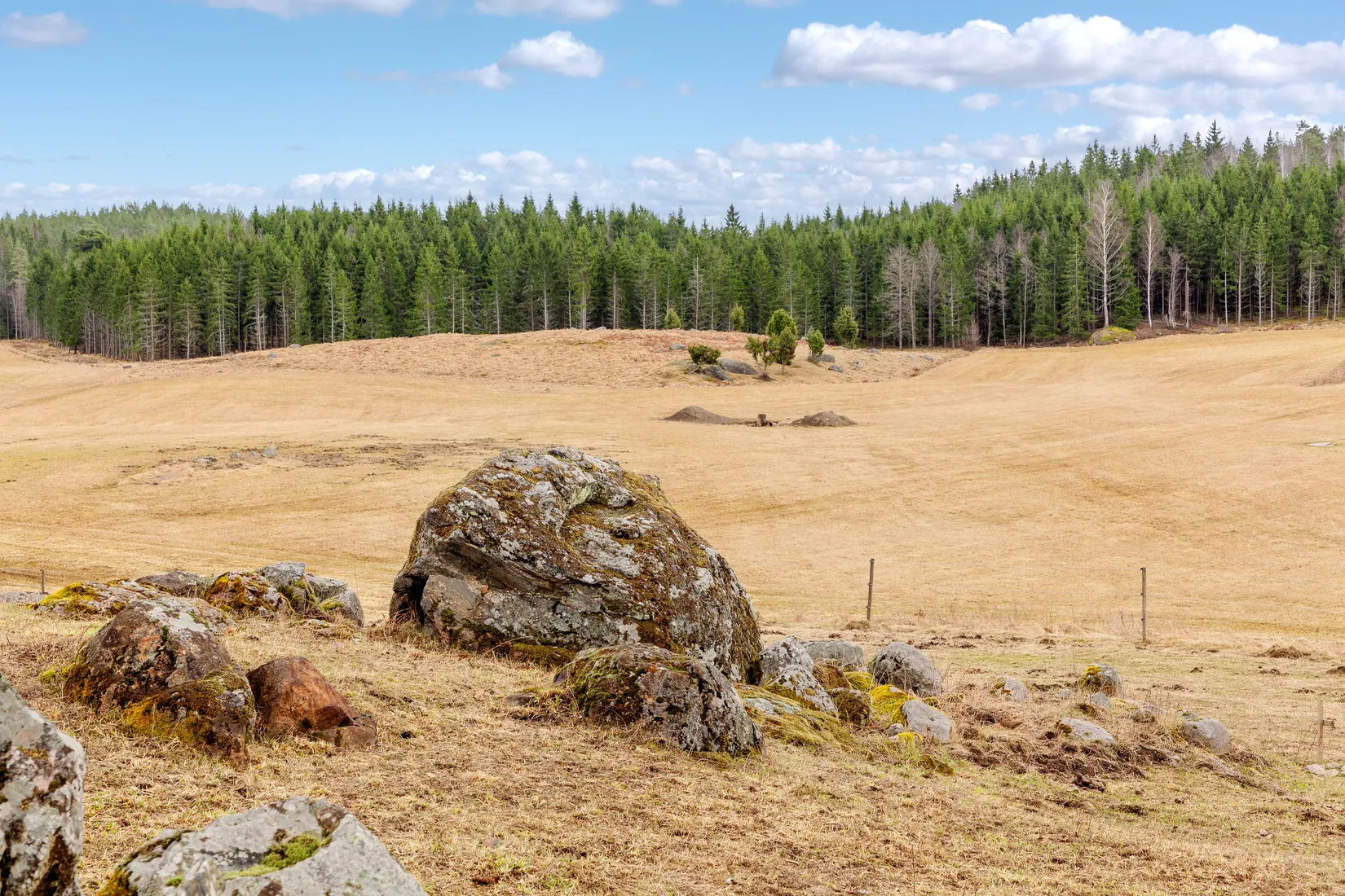 Villa, Gård/Skog, Stäringe BOSTORP, Flen