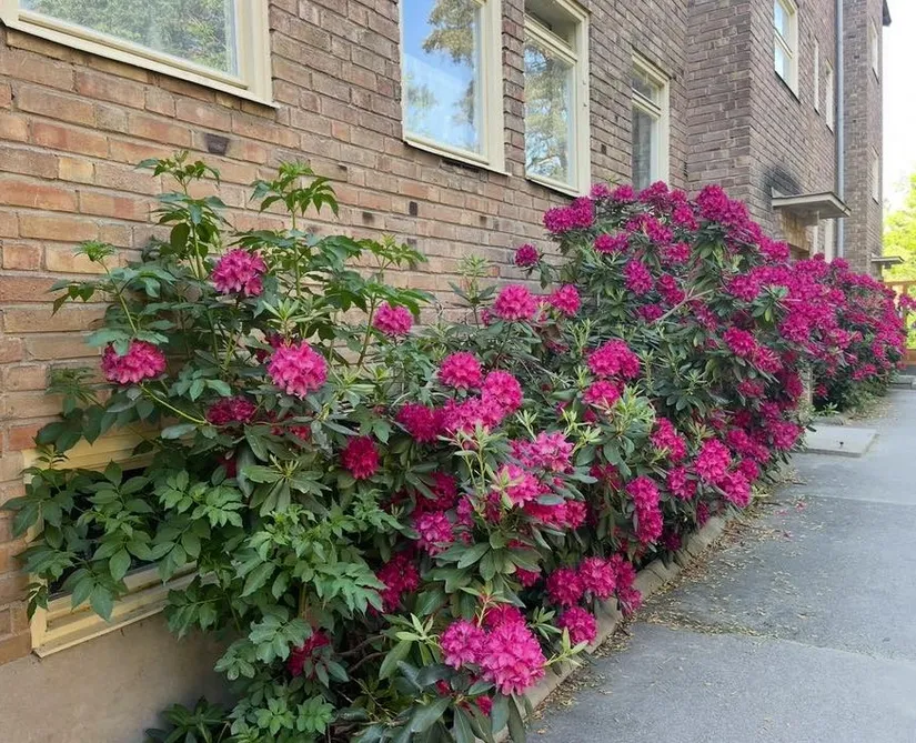 Bostadsrätt, Gustav III:s Väg 41A, Abrahamsberg, Stockholm