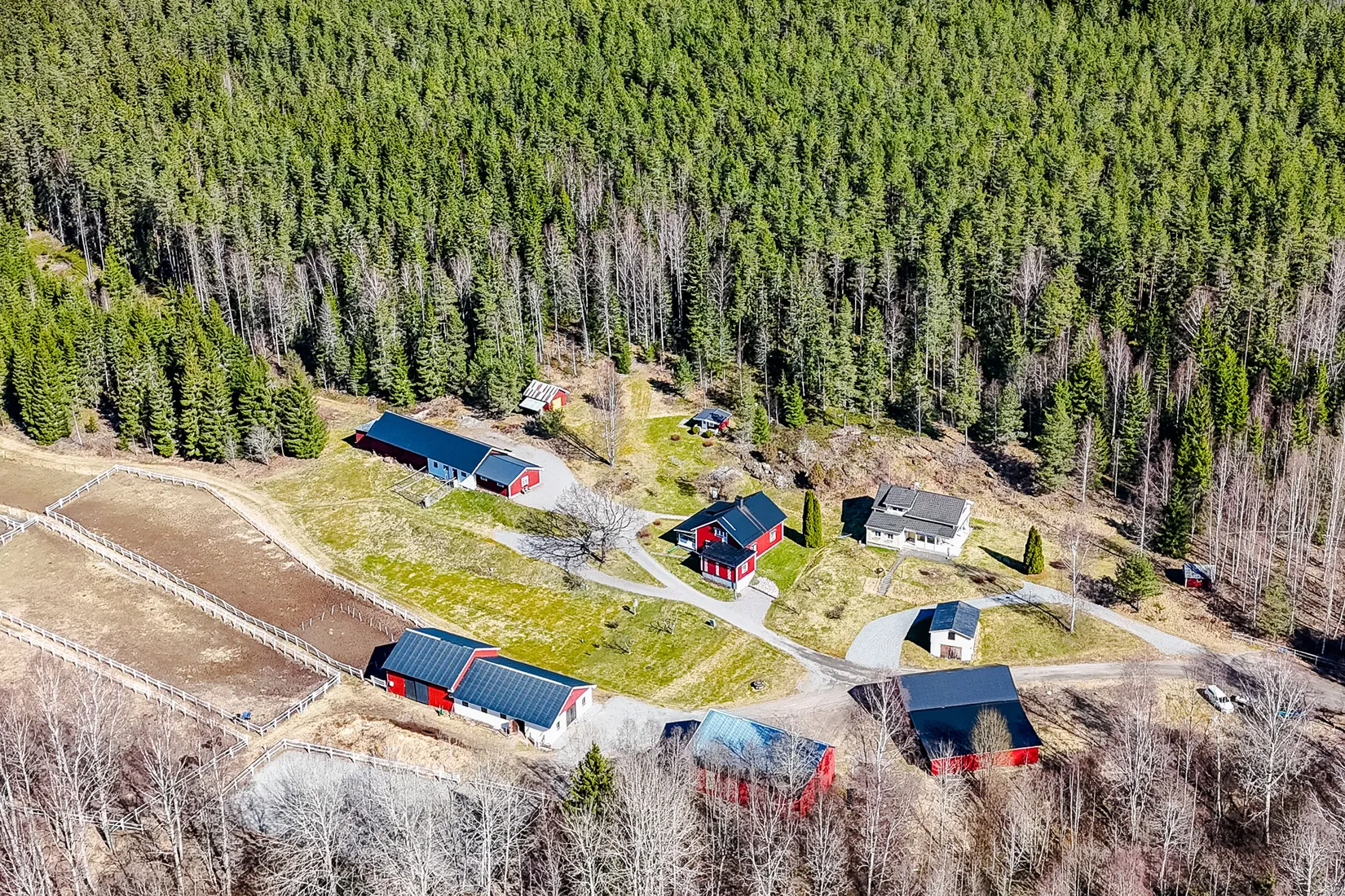 Övrigt, Lämmås Lindås, Hagfors