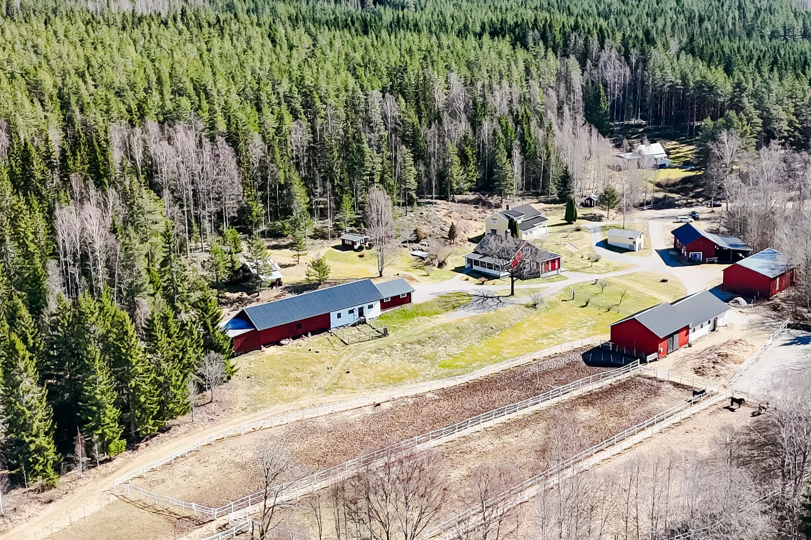 Övrigt, Lämmås Lindås, Hagfors