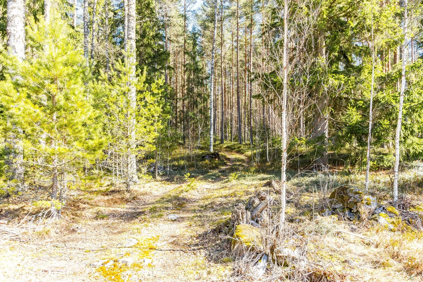Övrigt, Lämmås Lindås, Hagfors