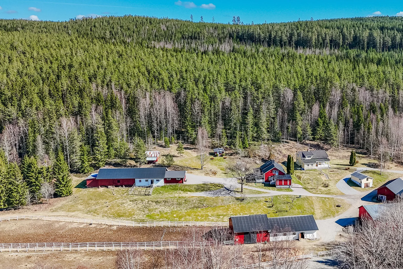 Övrigt, Lämmås Lindås, Hagfors