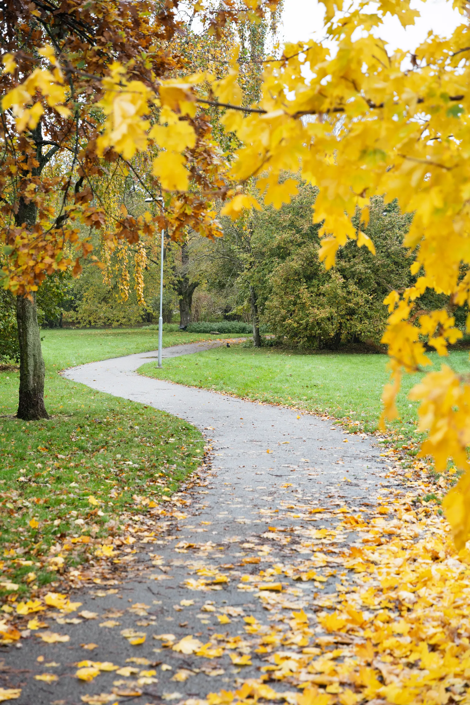 Bostadsrätt, Vikingavägen 4C, Eslöv - Centralt, Eslöv